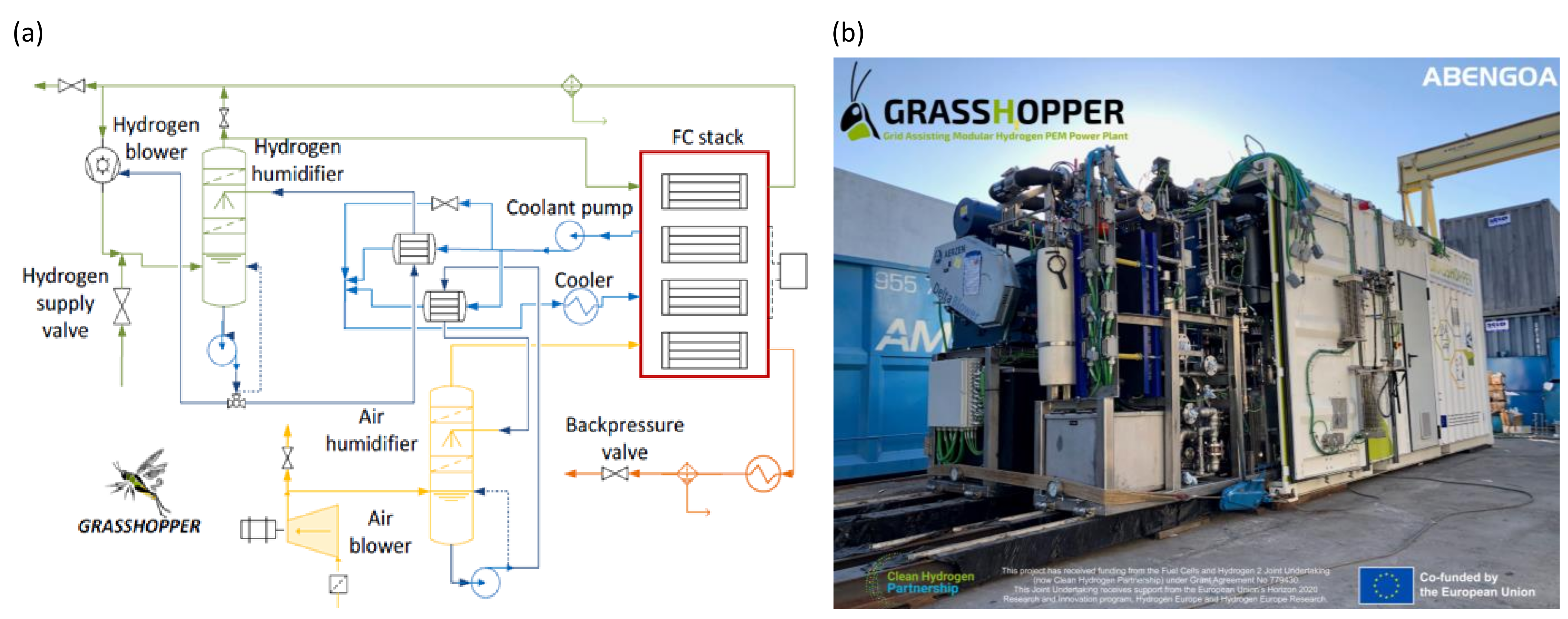 Dynamic Modeling of a PEM Fuel Cell Power Plant for Flexibility 