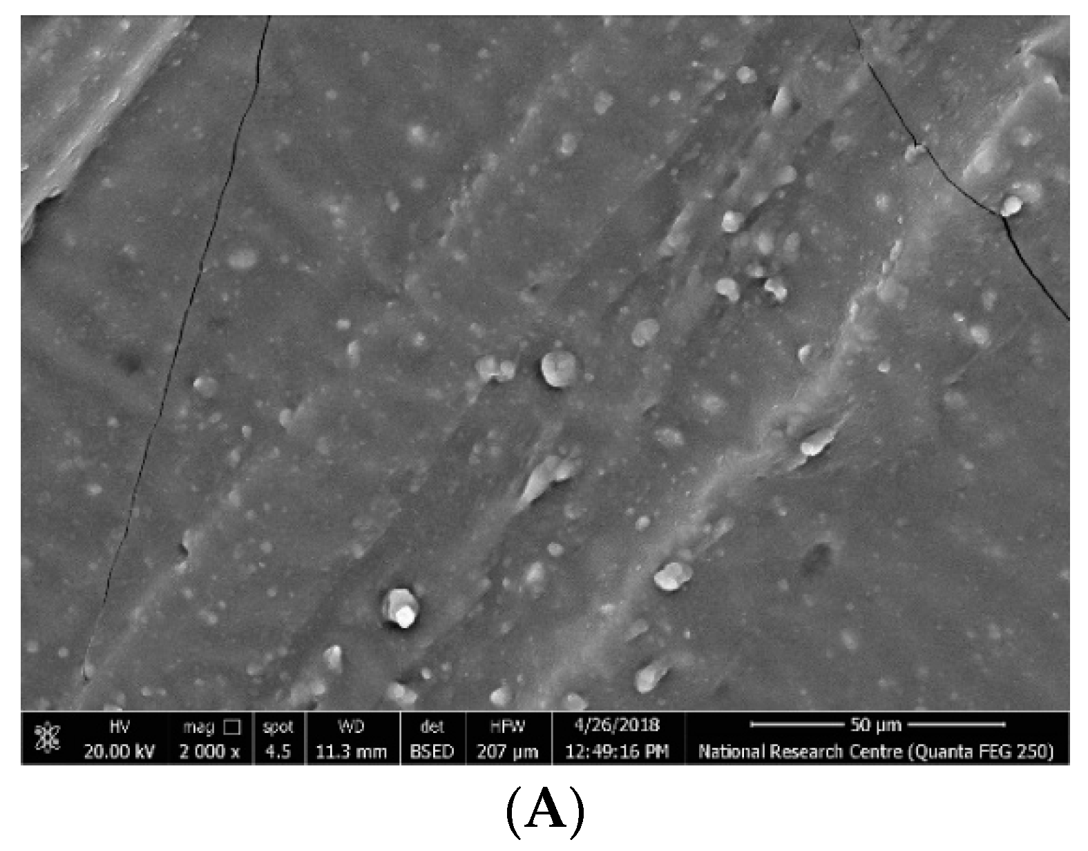 Energies 15 04860 g002a