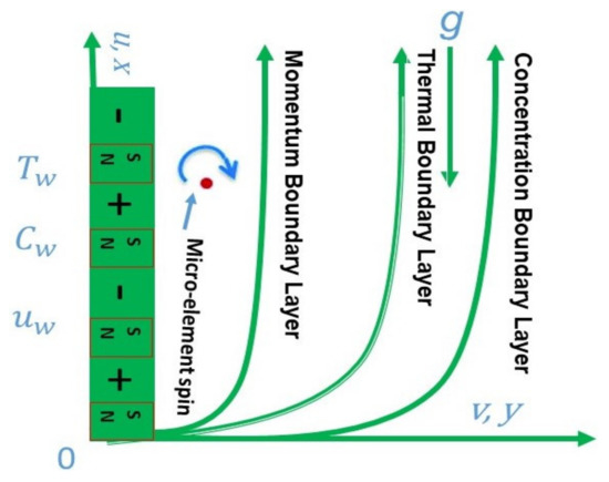 RETRACTED: Physical insights into the heat and mass transfer in