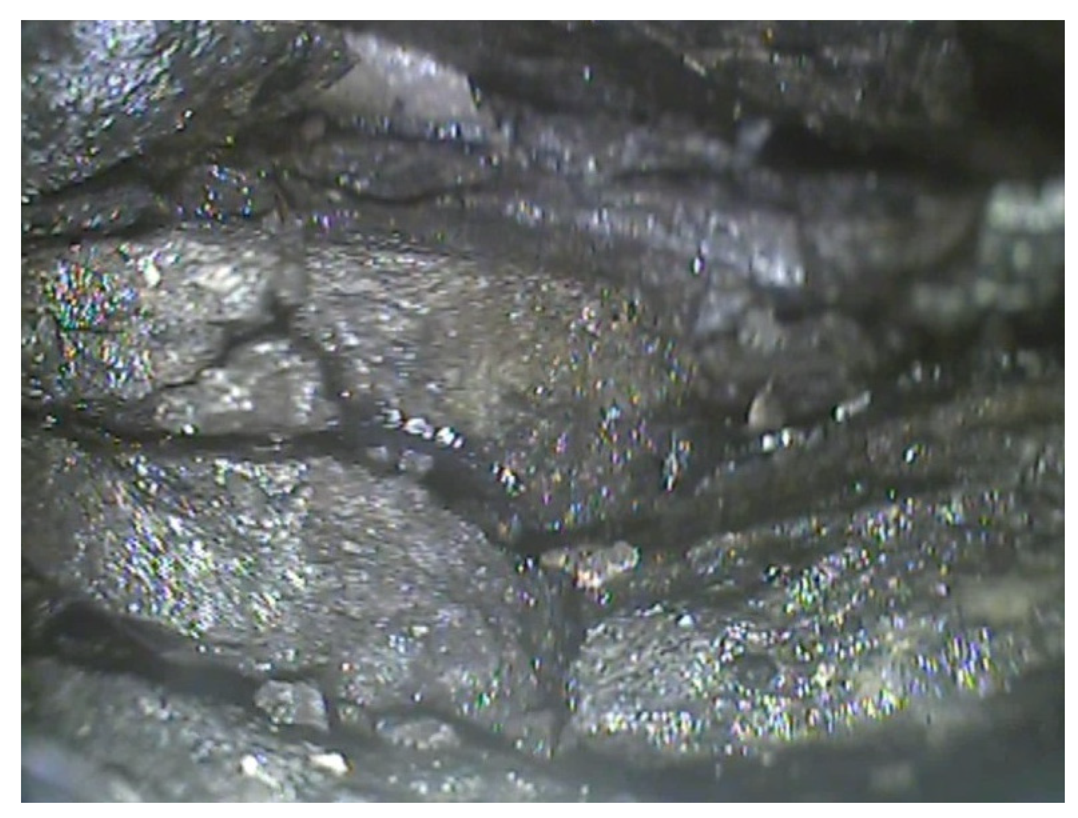 Energies 15 04958 g012