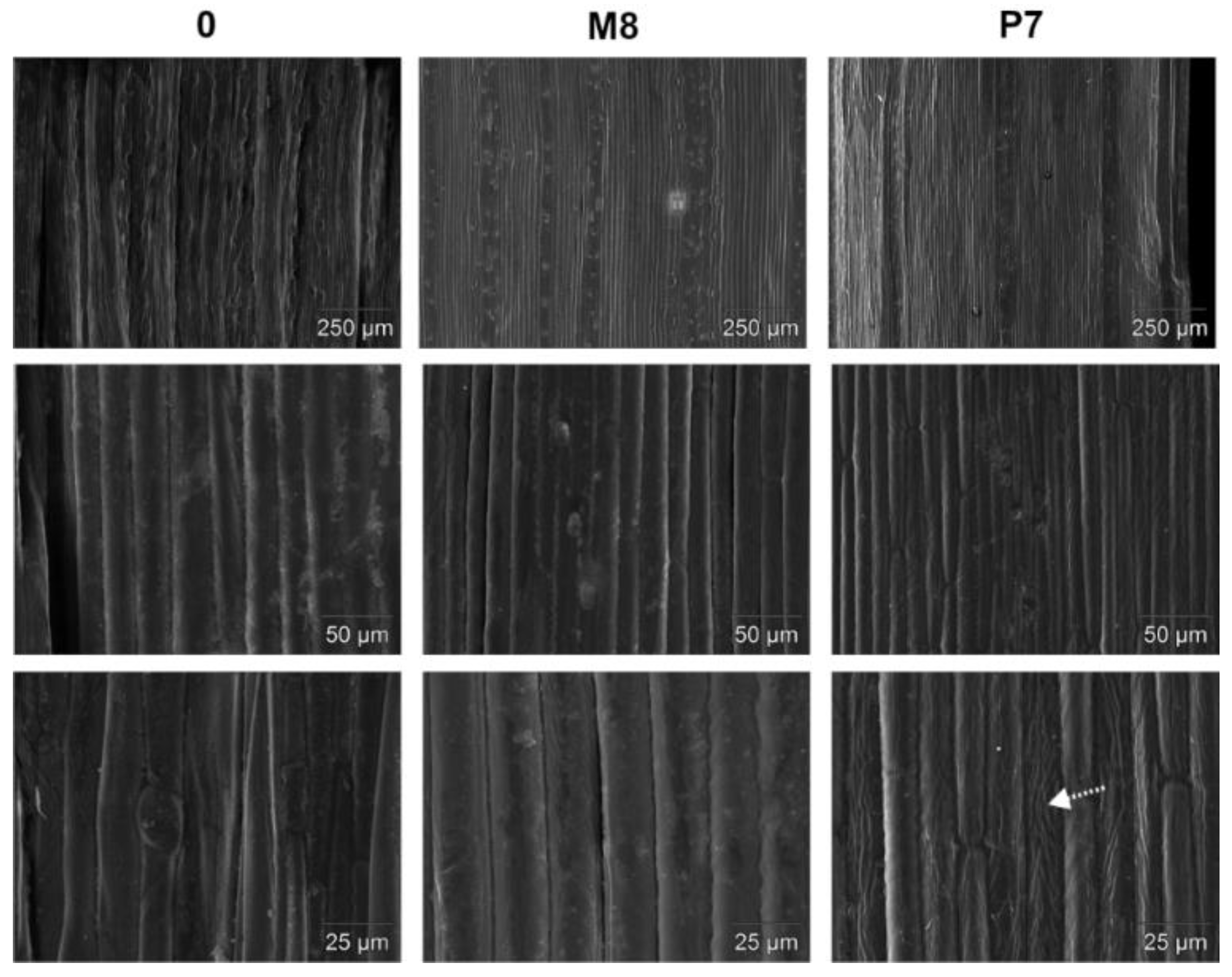 Energies 15 05122 g003