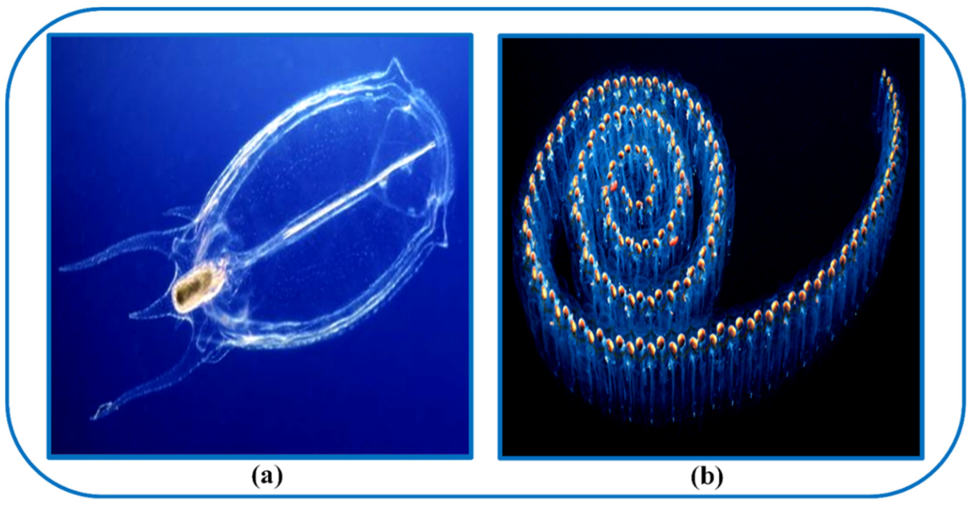 Energies 15 05176 g014 550