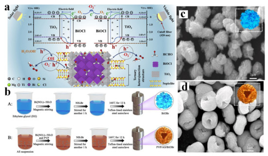 Mineral-Supported Photocatalysts: A Review of Materials