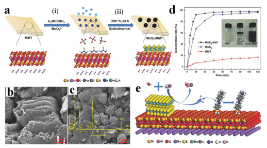 たなか Validating Cell Surface Proteases as Drug Targets for Cancer