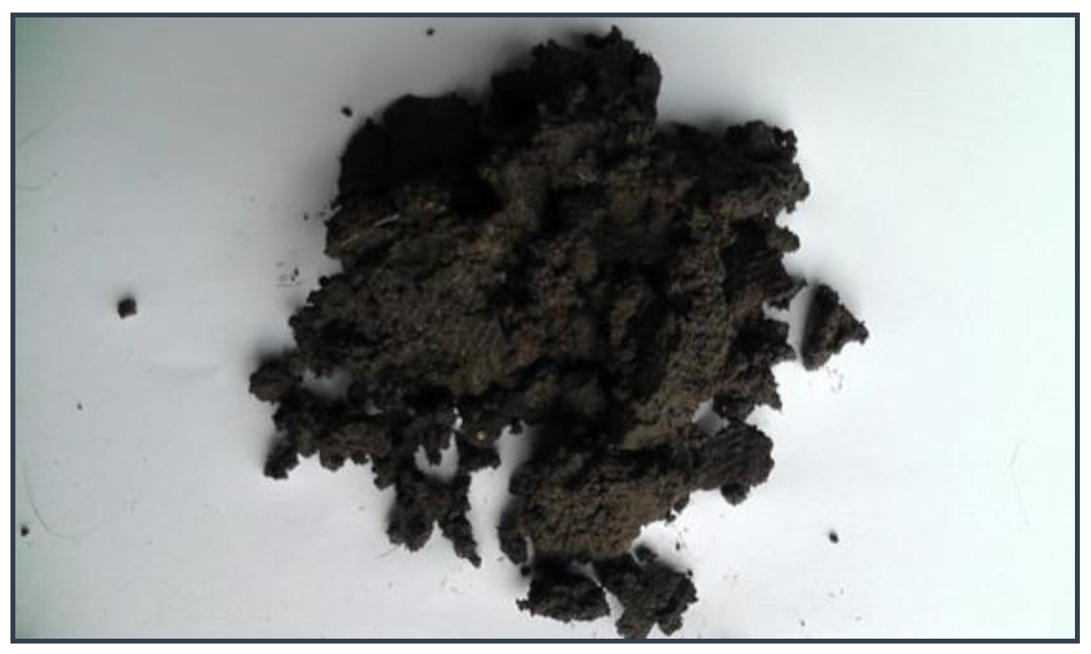 Energies 15 05795 g001