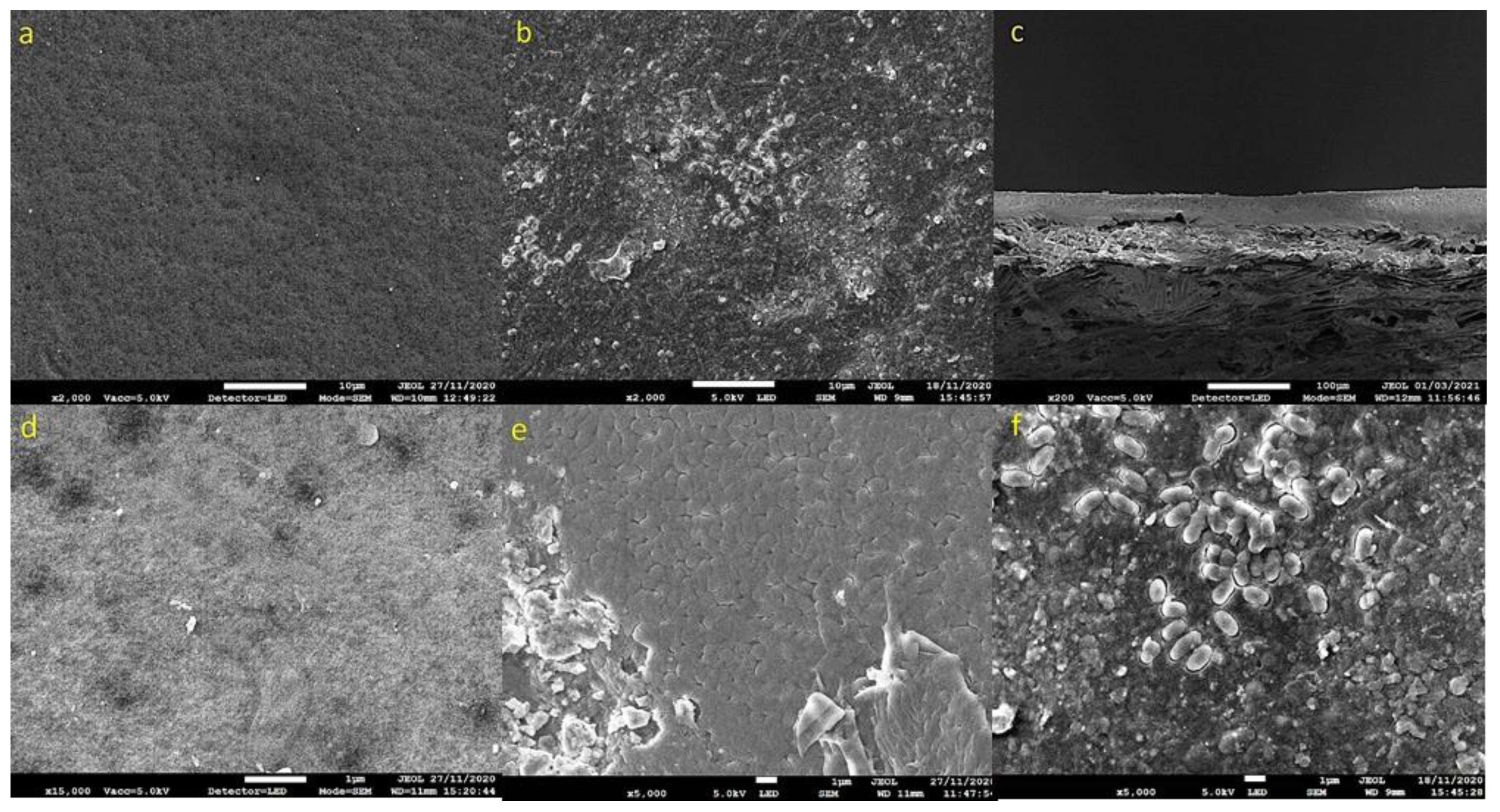 Energies 15 05976 g007 Energies 15 05976 g007