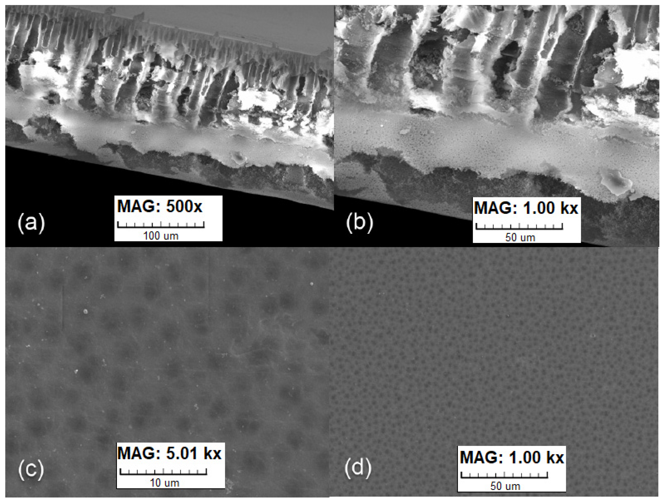 Energies 15 06021 g002 550