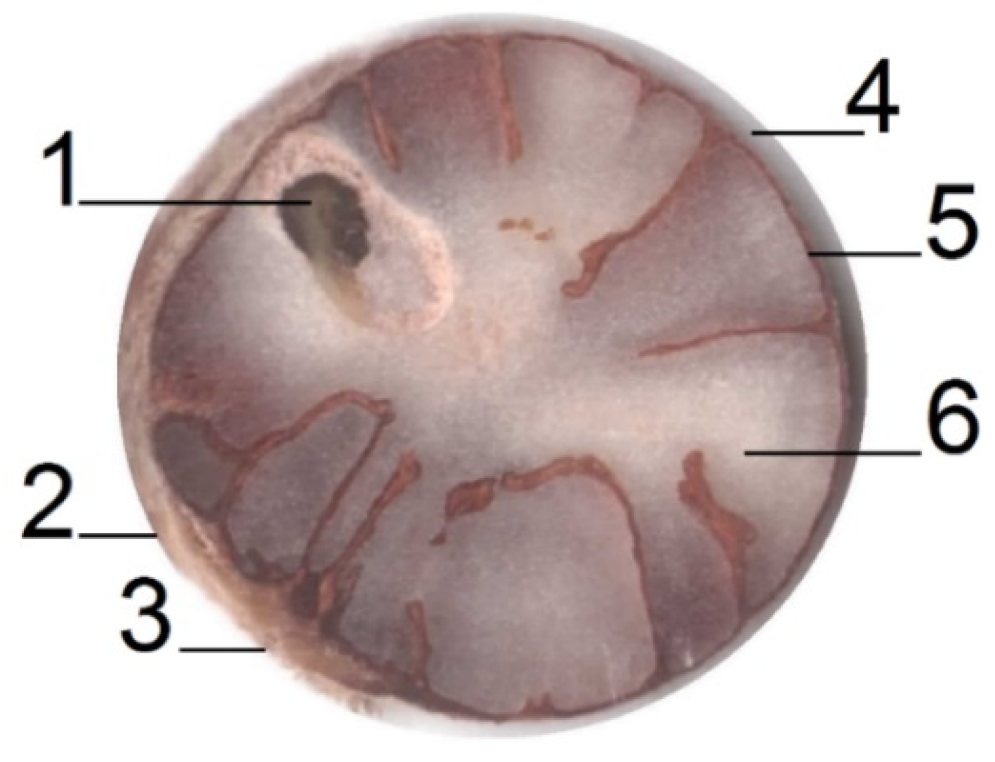 Energies 15 06234 g002 550