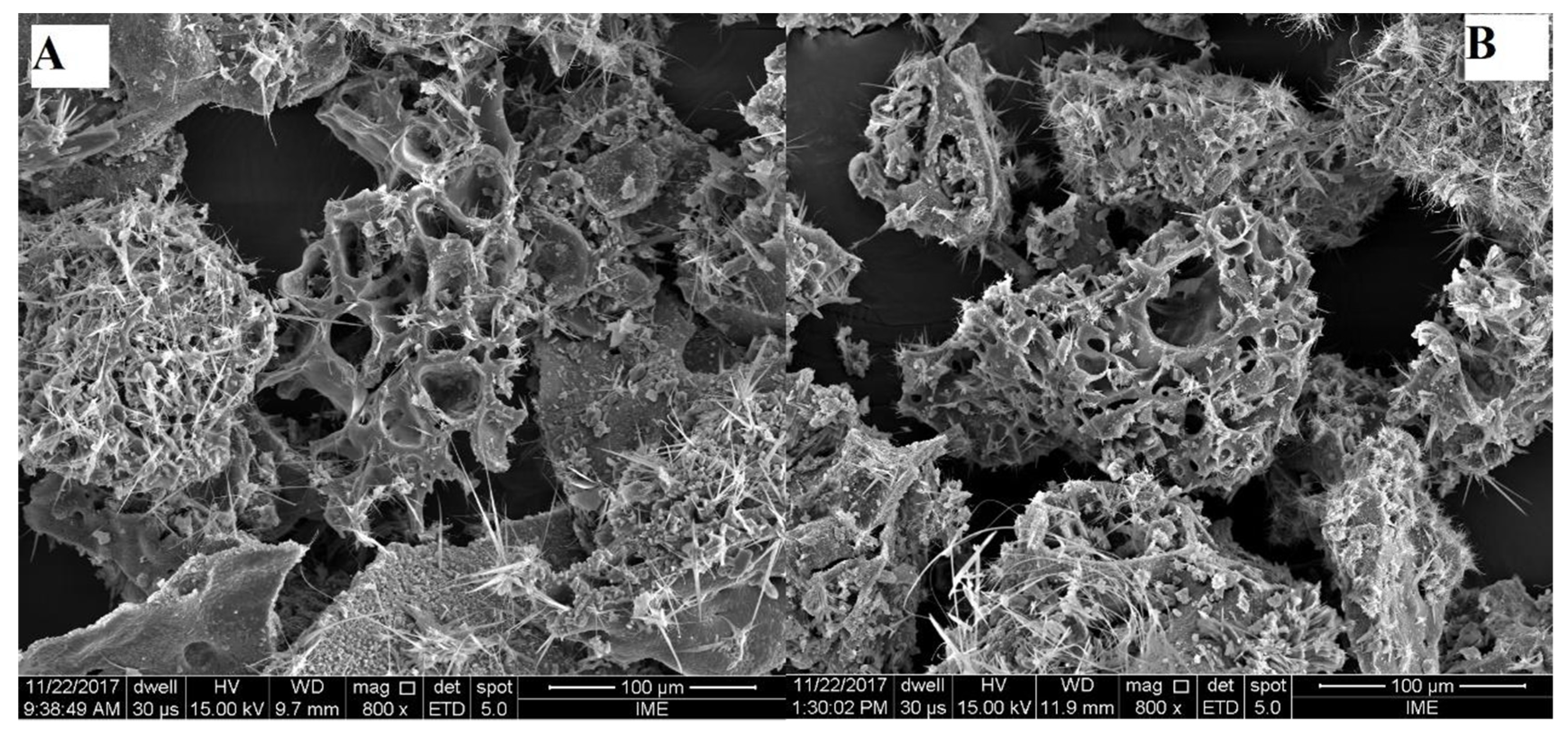 Energies 15 06234 g006 550