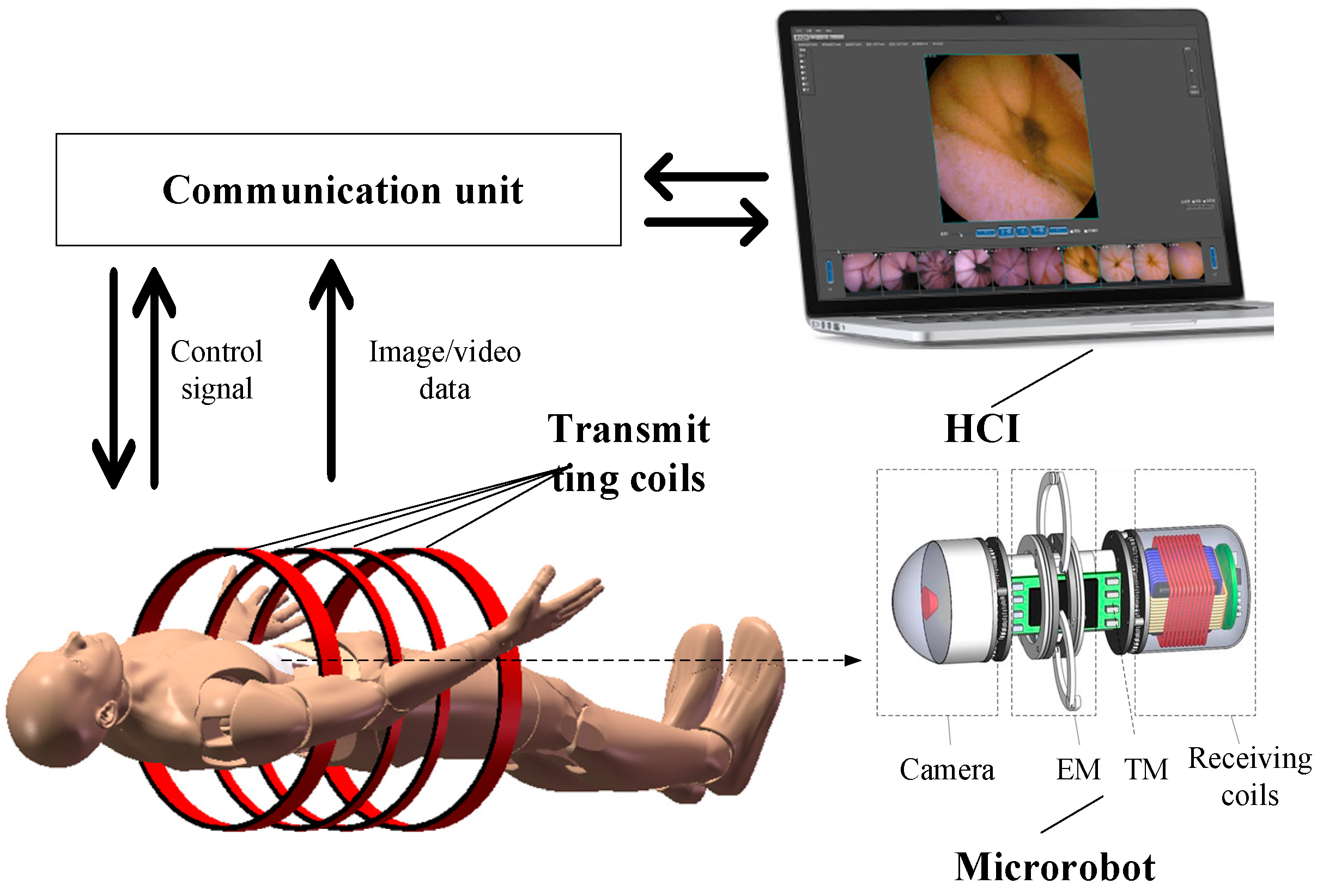 Energies 15 06321 g001