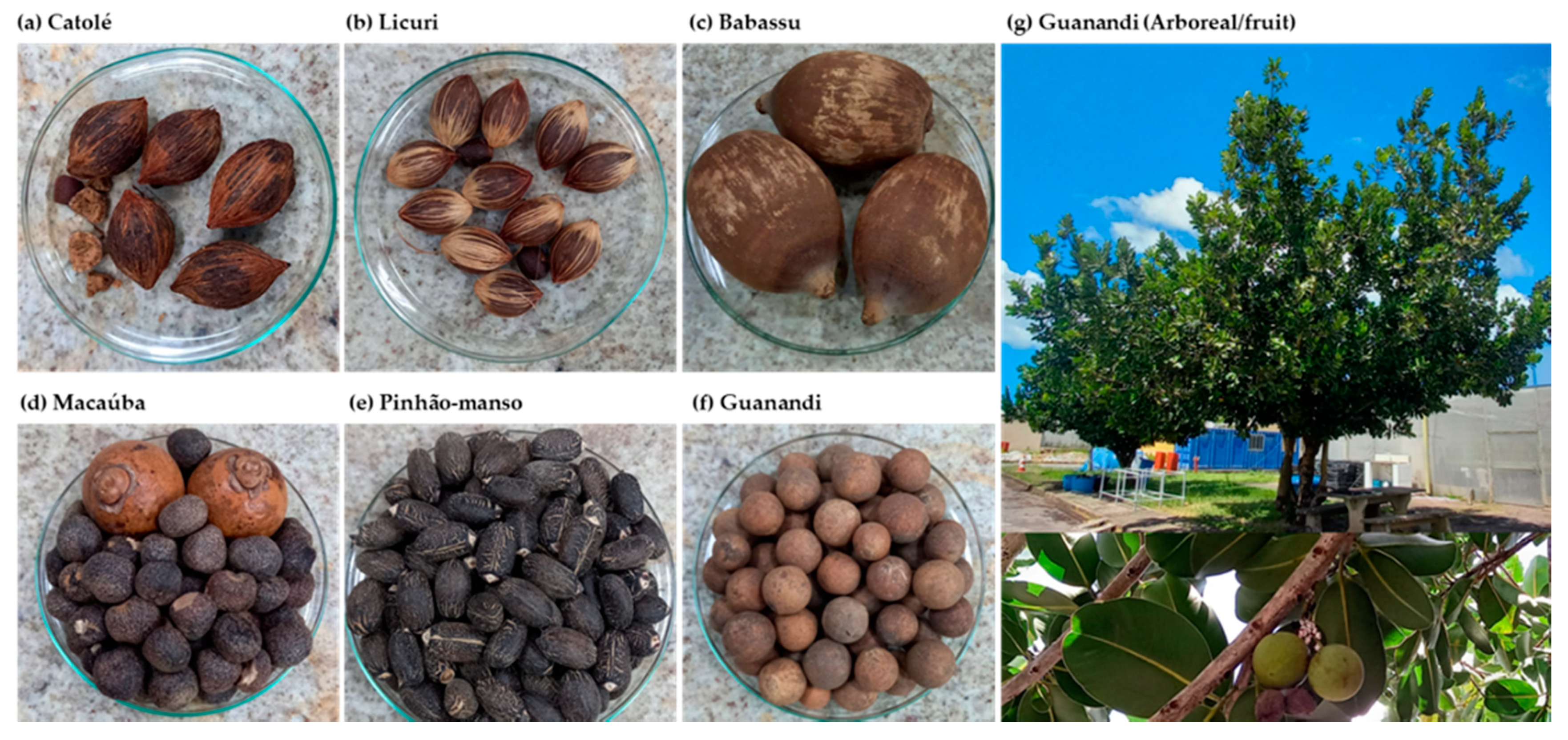 Energies 15 06531 g001