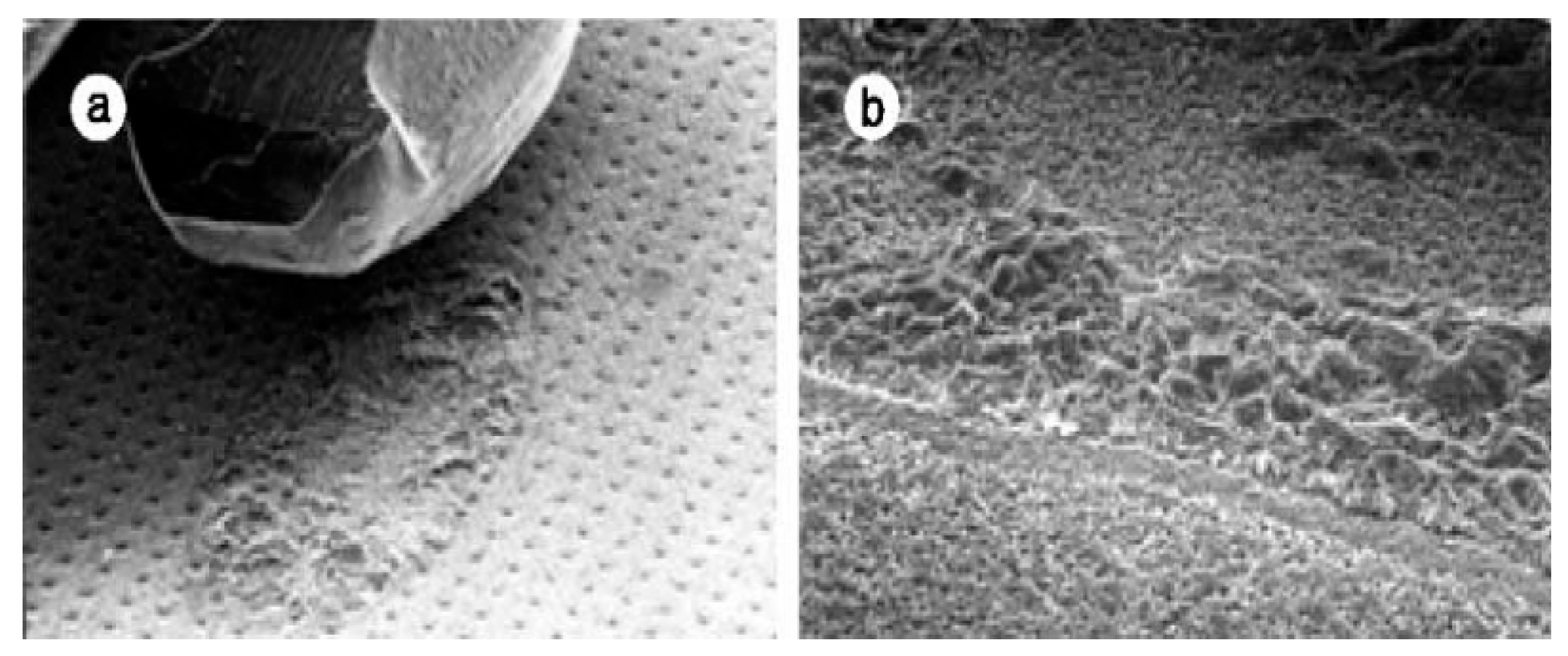 Energies 15 06670 g009