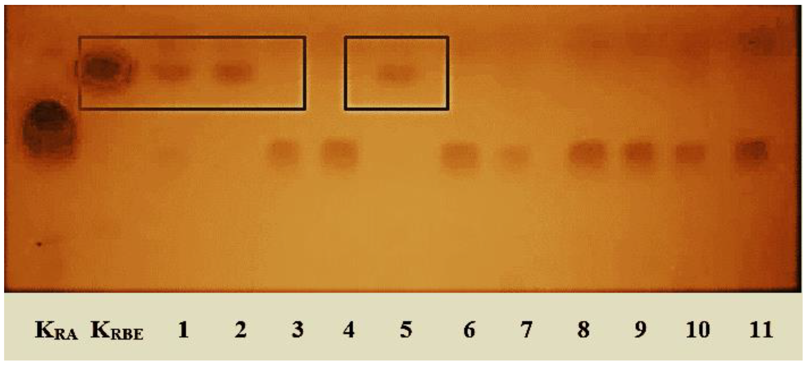 Energies 15 06837 g001