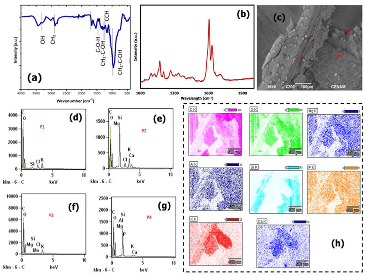 Energies 15 06870 g002 550