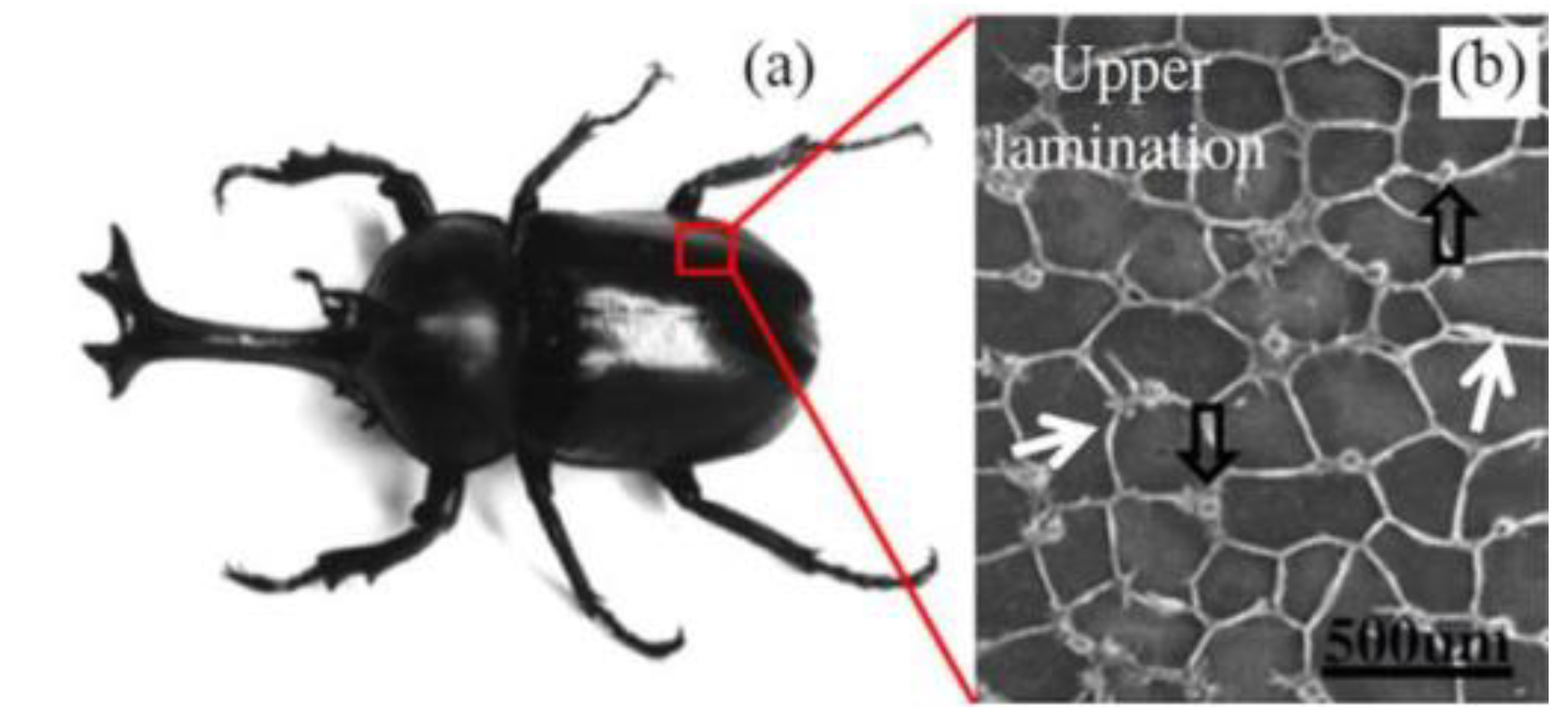 Energies 15 06957 g001 Energies 15 06957 g001
