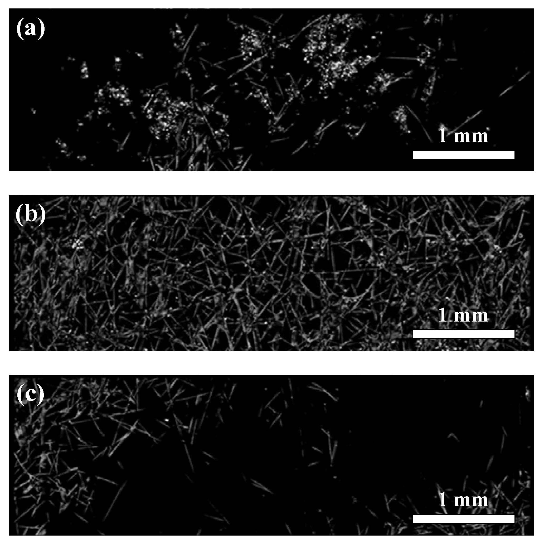 Study on Two-Phase Permeation of Oxygen and Electrolyte in