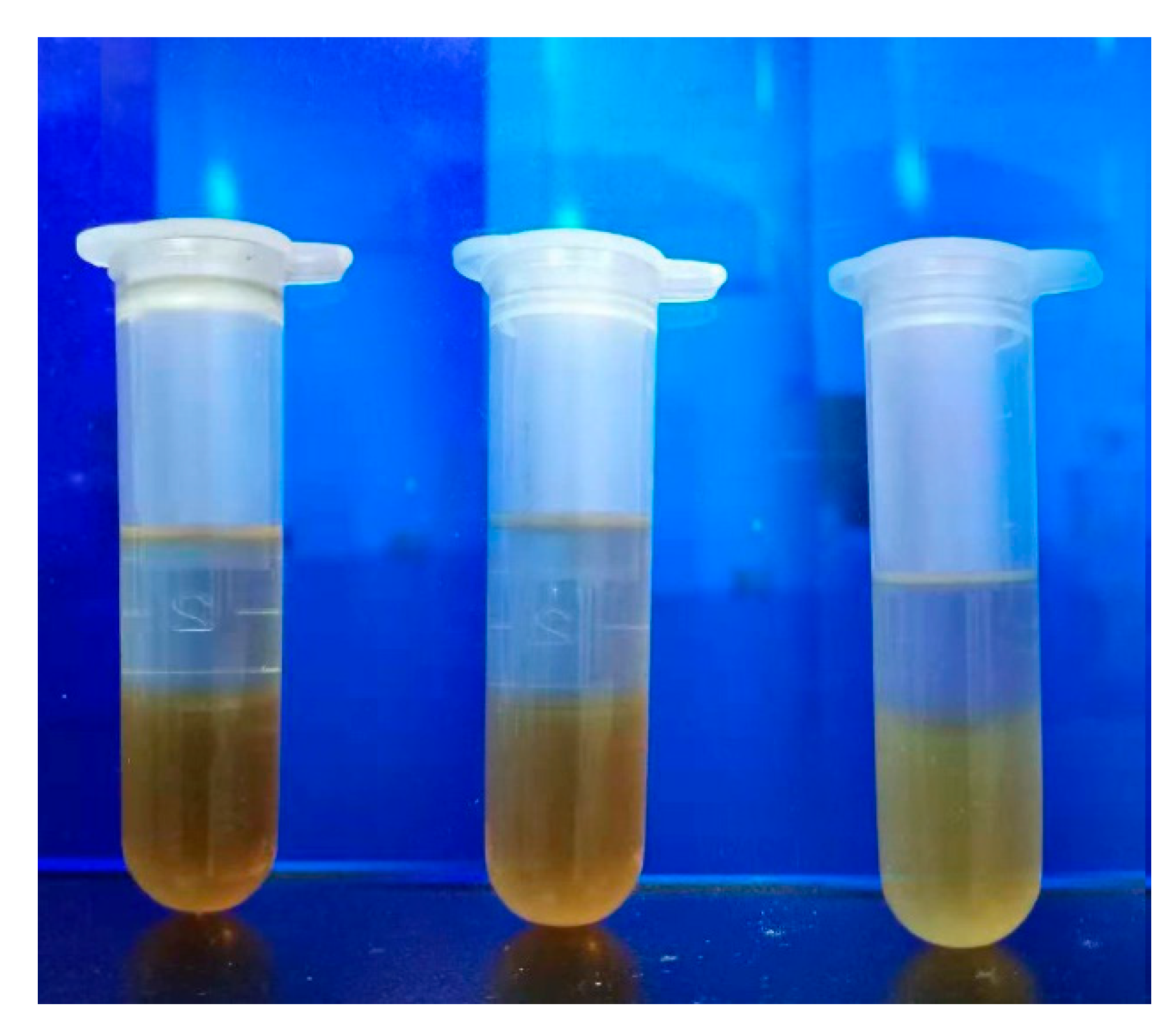 Energies 15 07081 g005 550