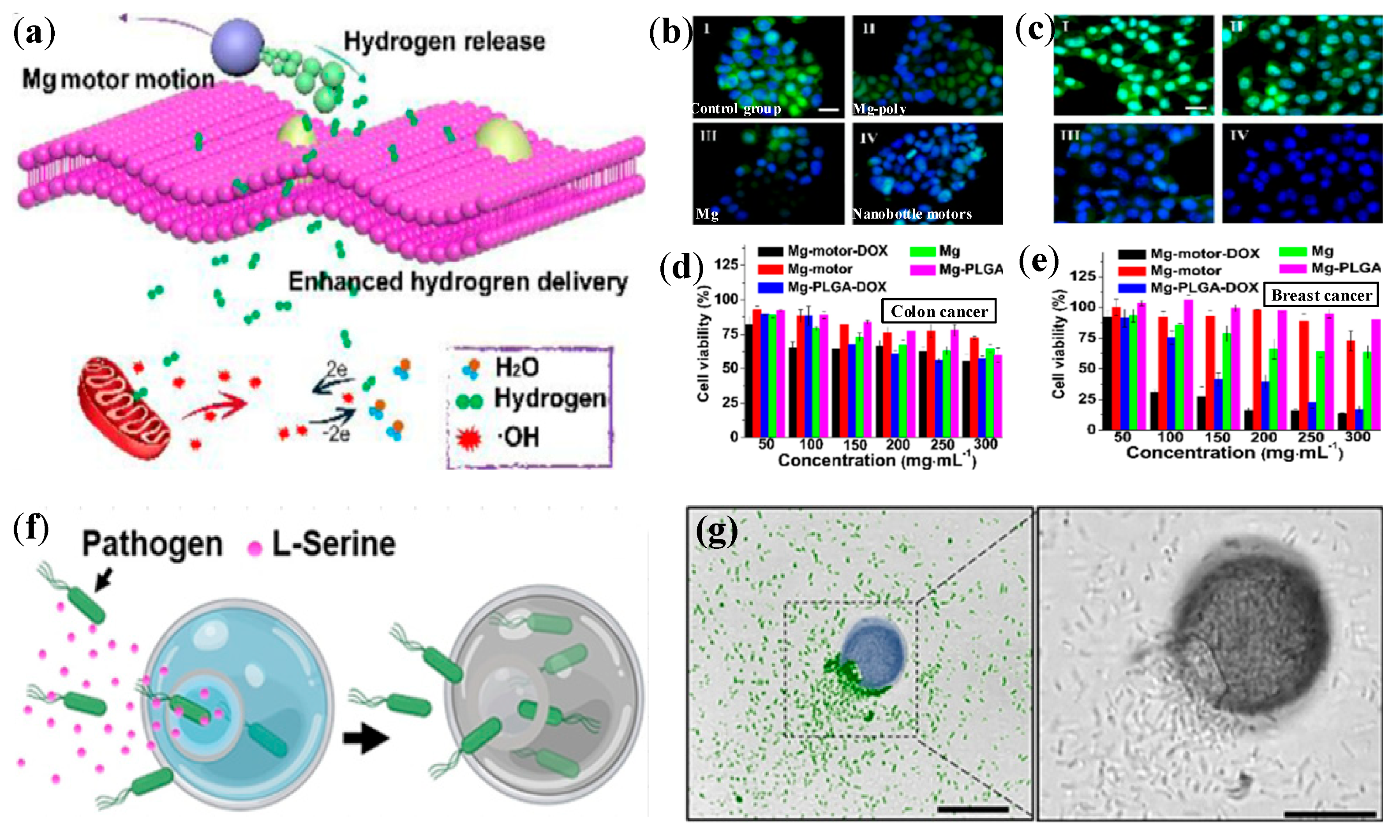 Energies 15 07636 g010 Energies 15 07636 g010