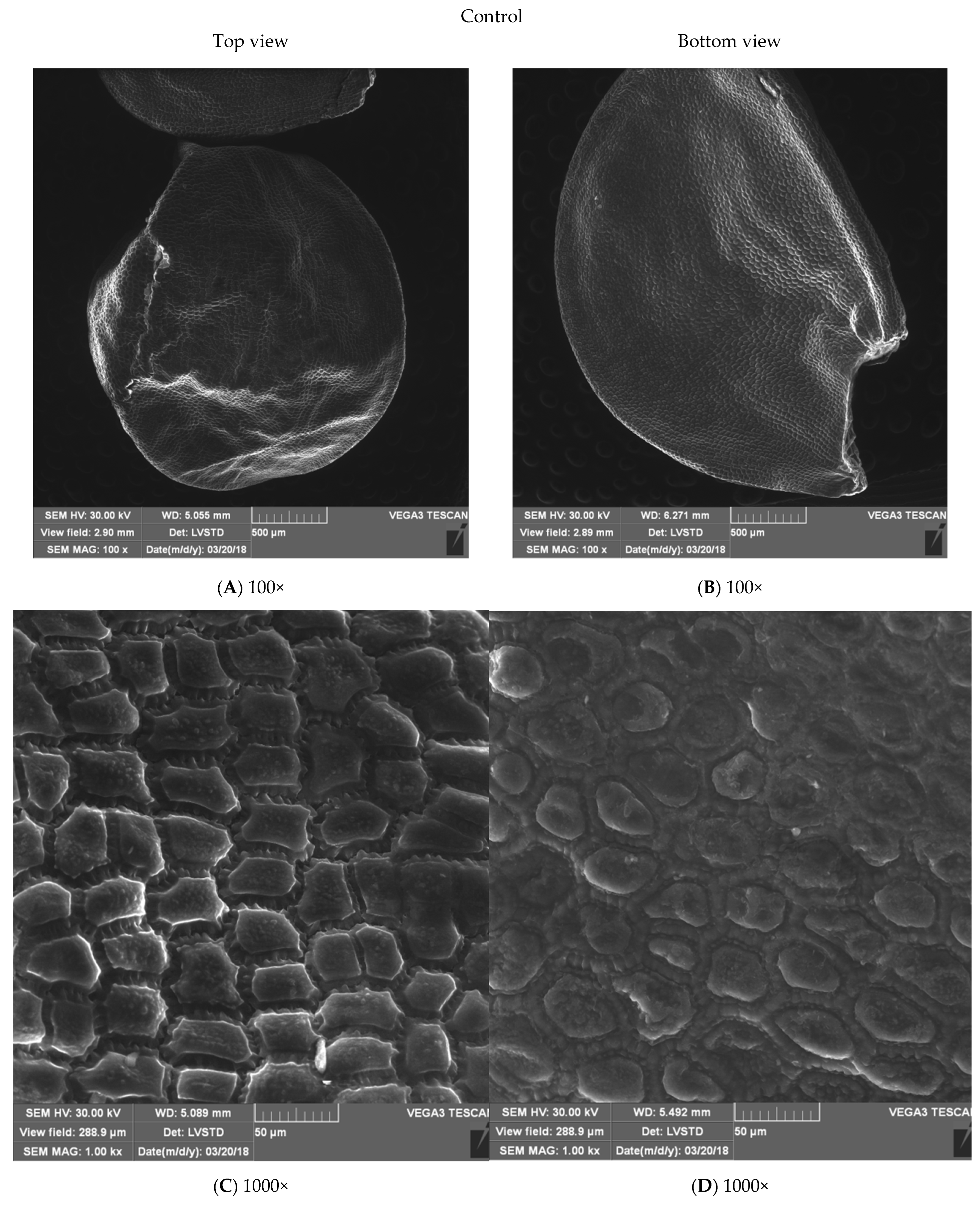 Energies 15 07687 g004a Energies 15 07687 g004a