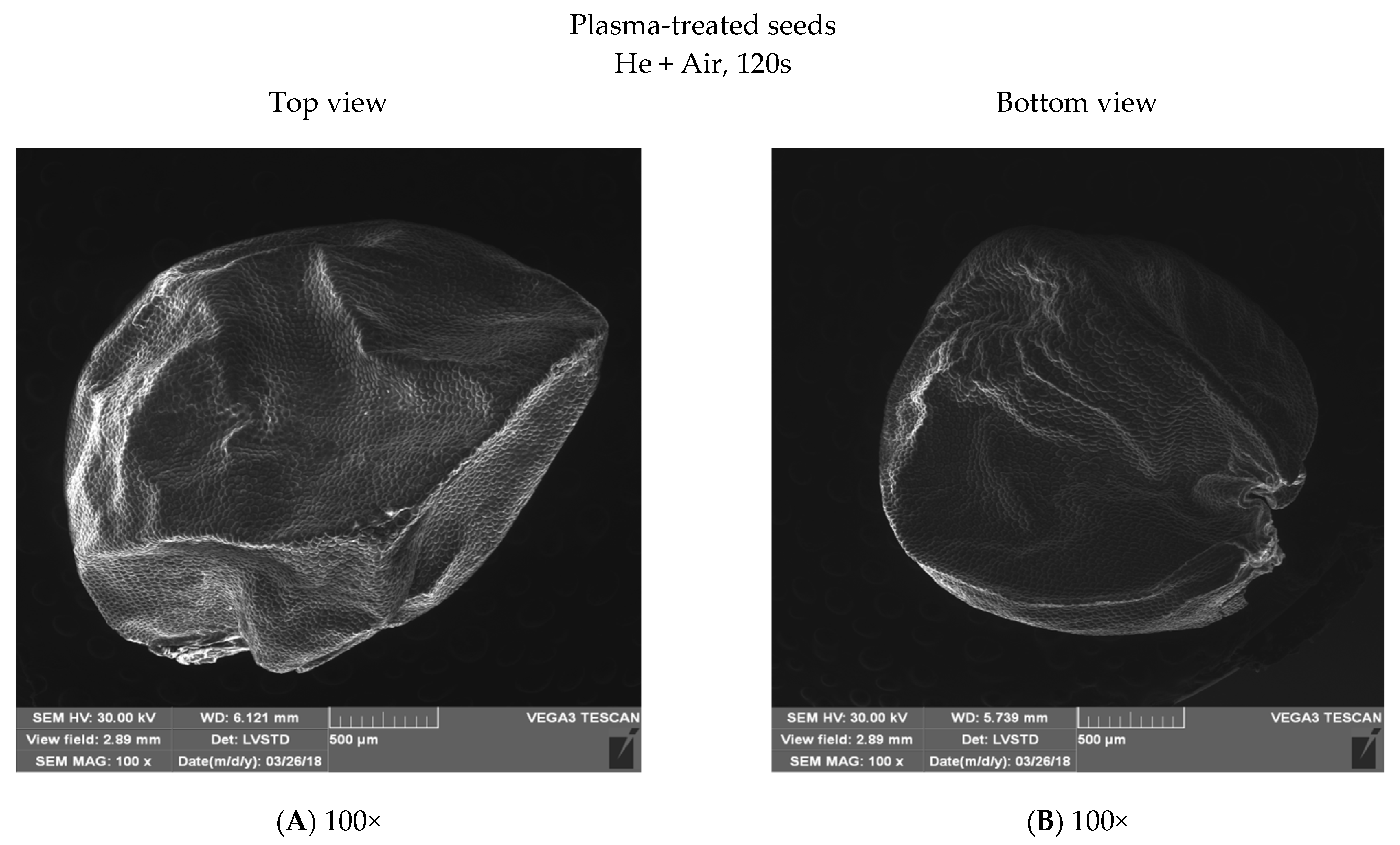 Energies 15 07687 g005a Energies 15 07687 g005a