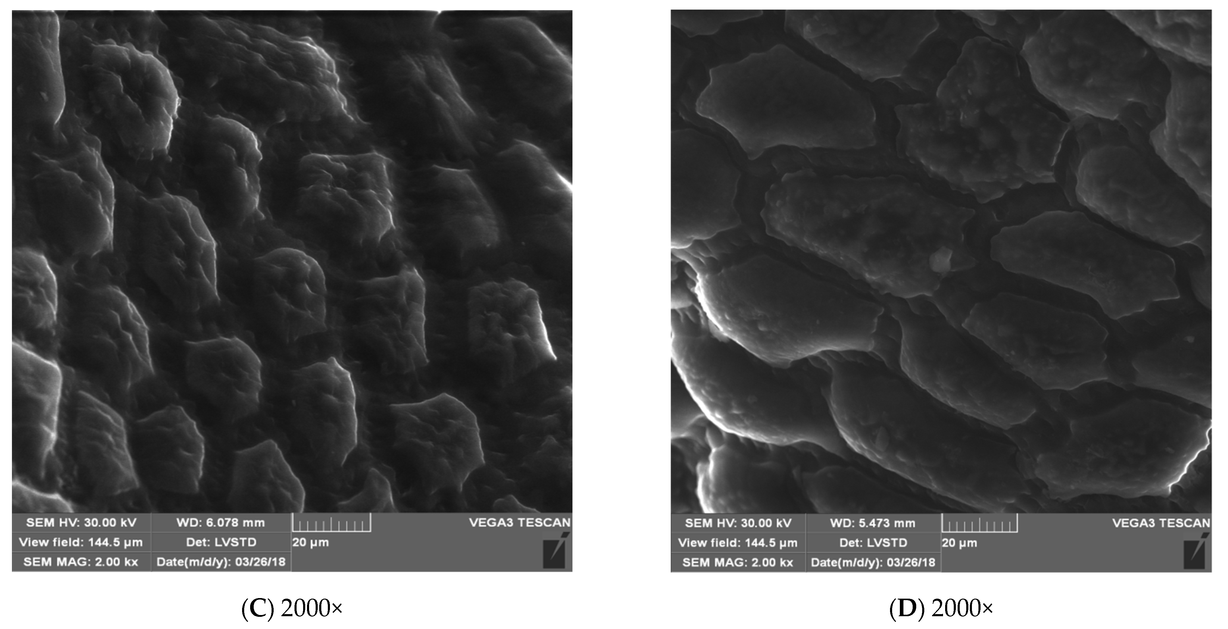Energies 15 07687 g005b Energies 15 07687 g005b
