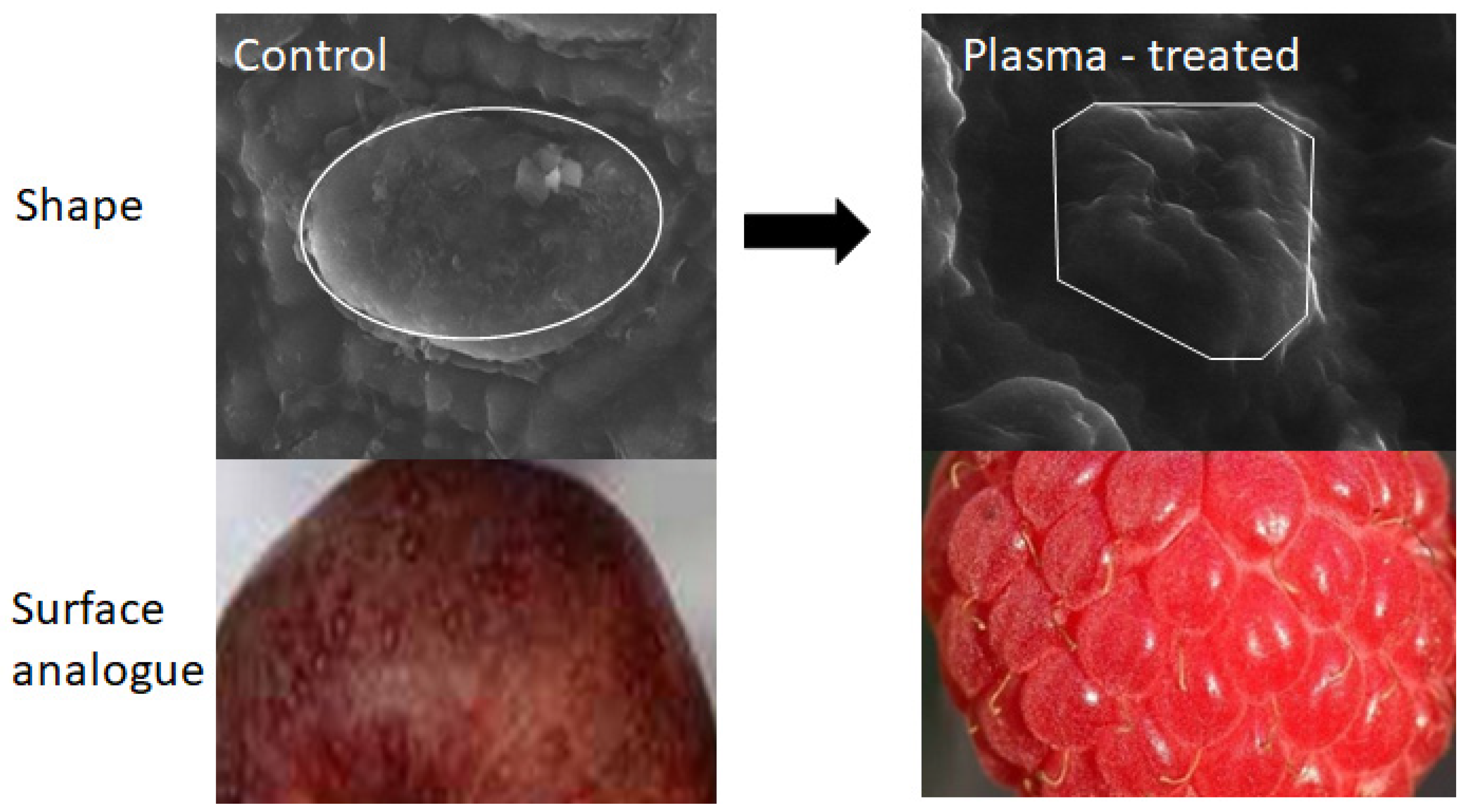 Energies 15 07687 g007 Energies 15 07687 g007