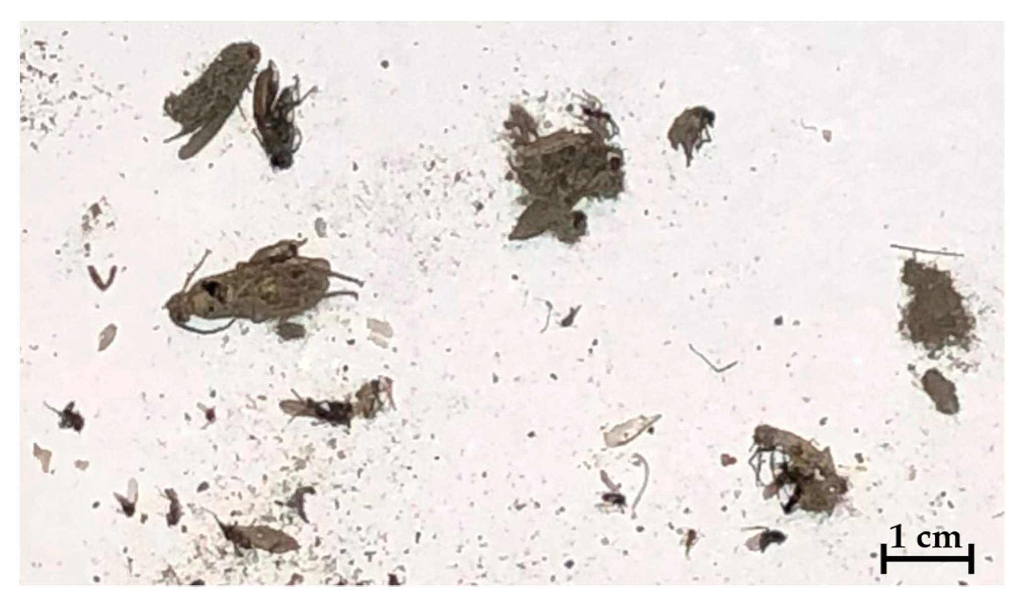 Energies 15 07719 g016 Energies 15 07719 g016