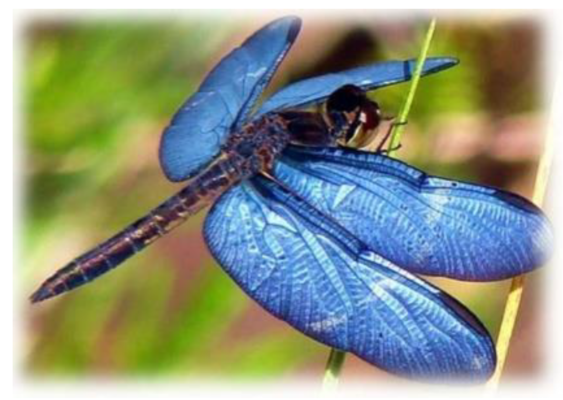 Energies 15 07814 g004 Energies 15 07814 g004