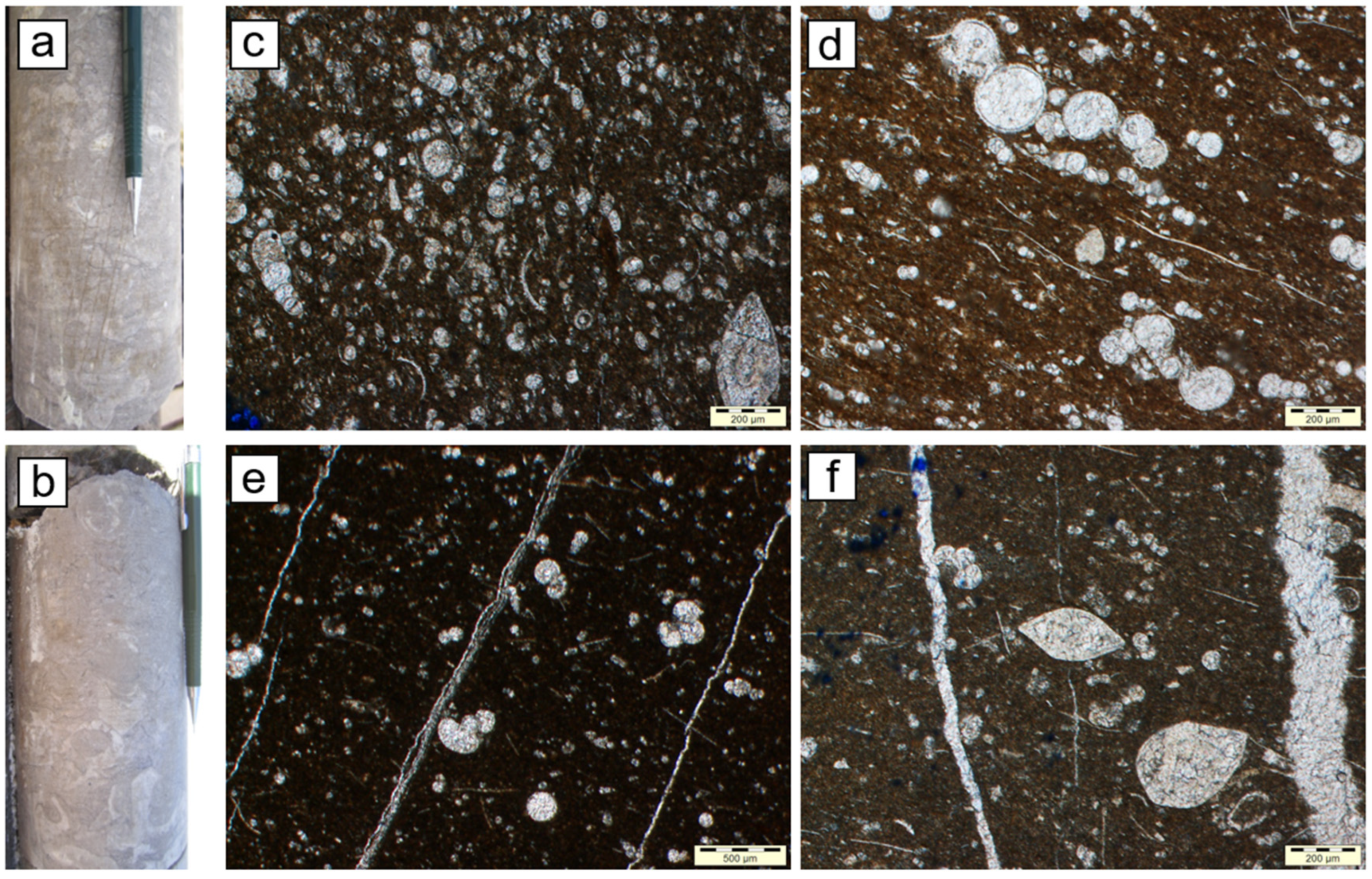 Energies 15 07901 g003