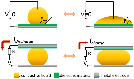Recent Advances in Energy Harvesting from the Human Body for