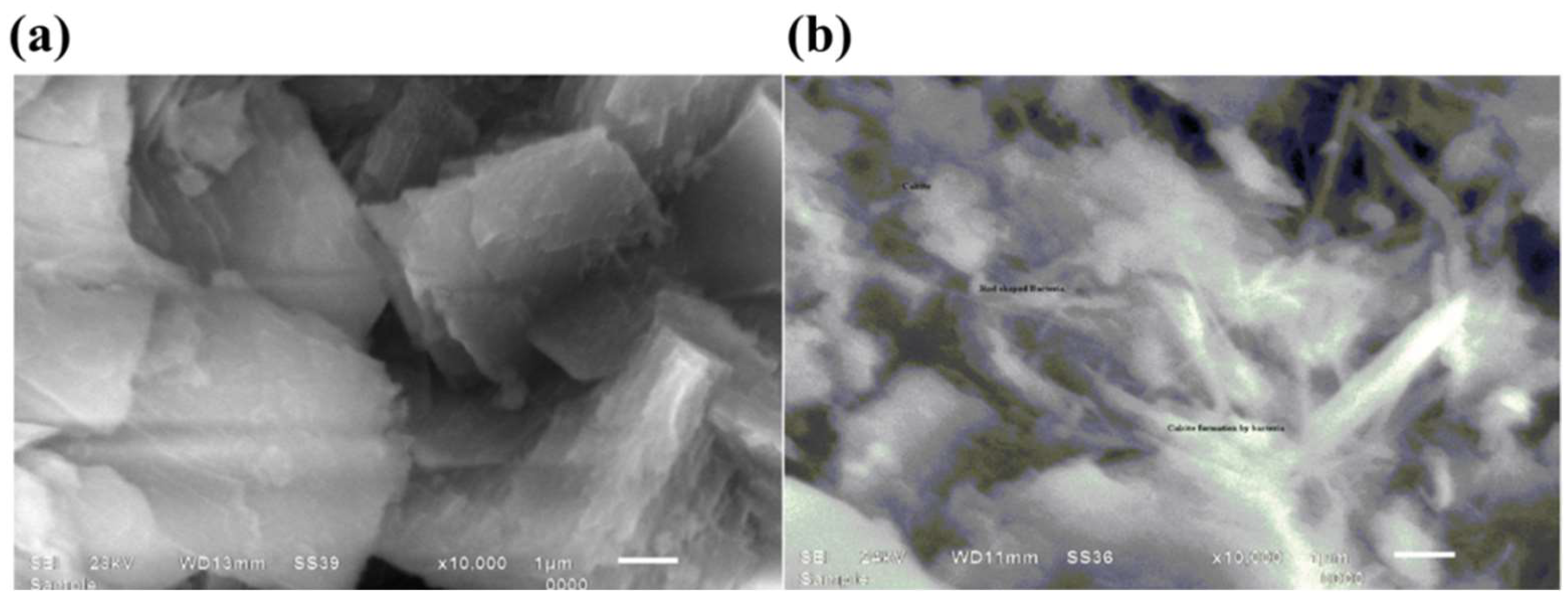 Energies 15 08011 g004 Energies 15 08011 g004