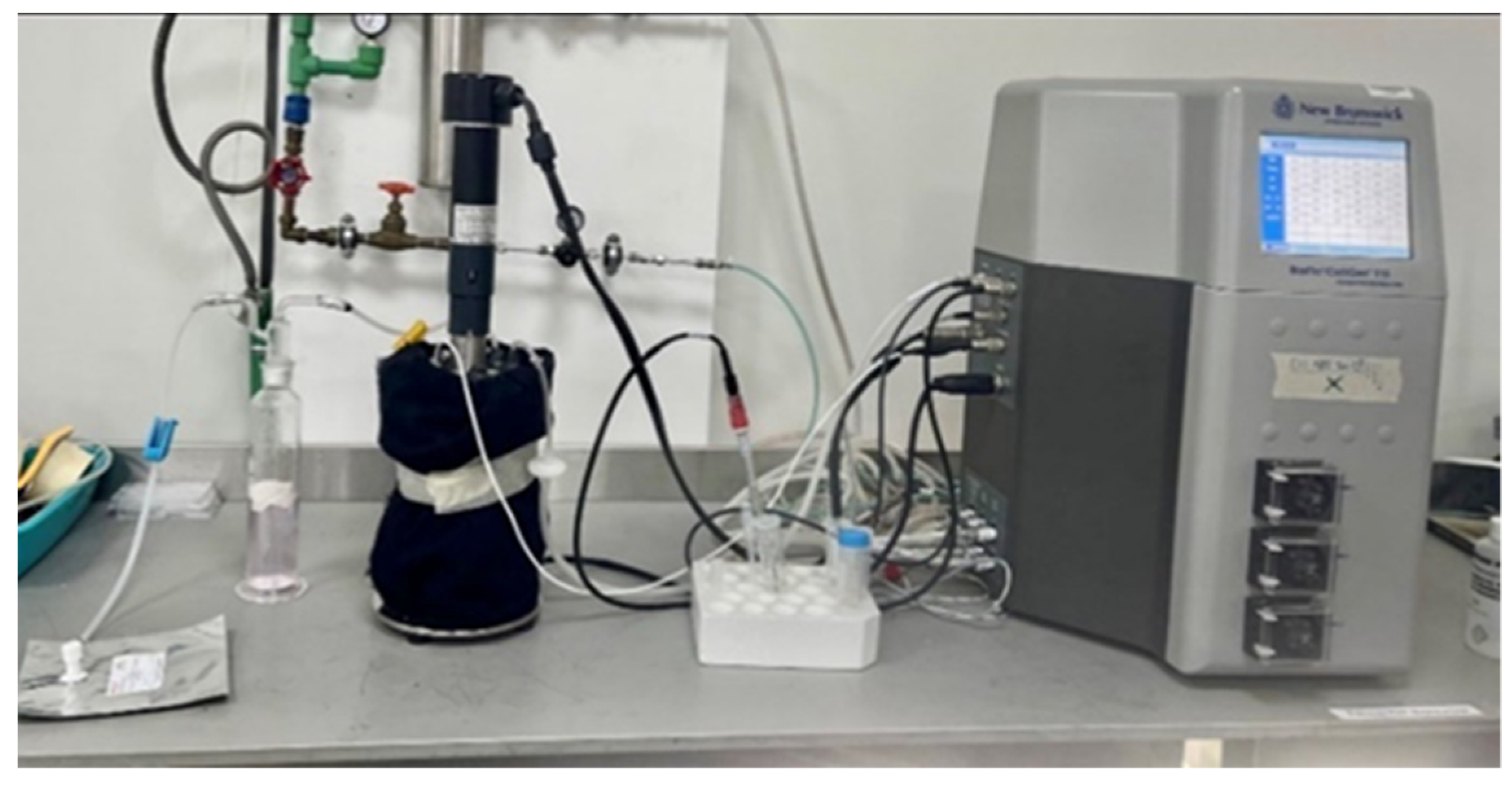 Energies 15 08056 g004