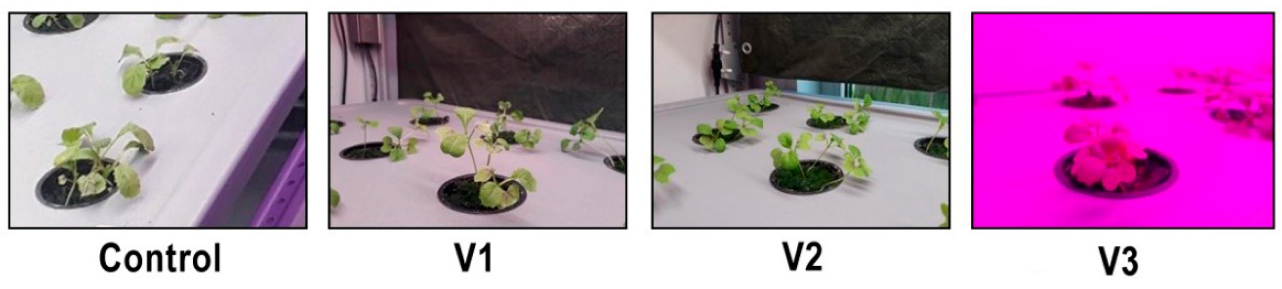 Energies 15 08076 g001 Energies 15 08076 g001