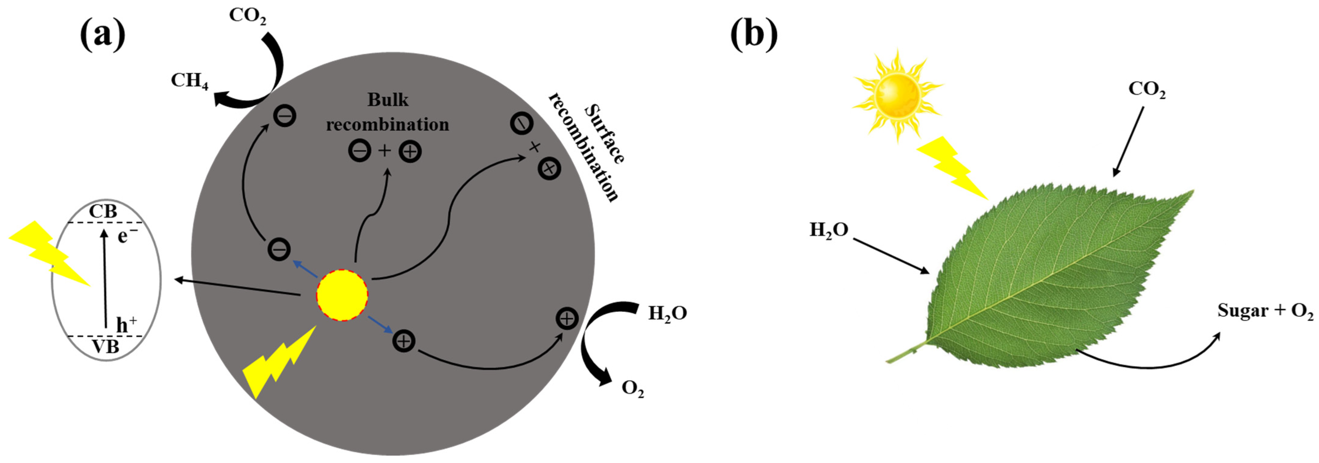 Energies 15 08117 g001 Energies 15 08117 g001