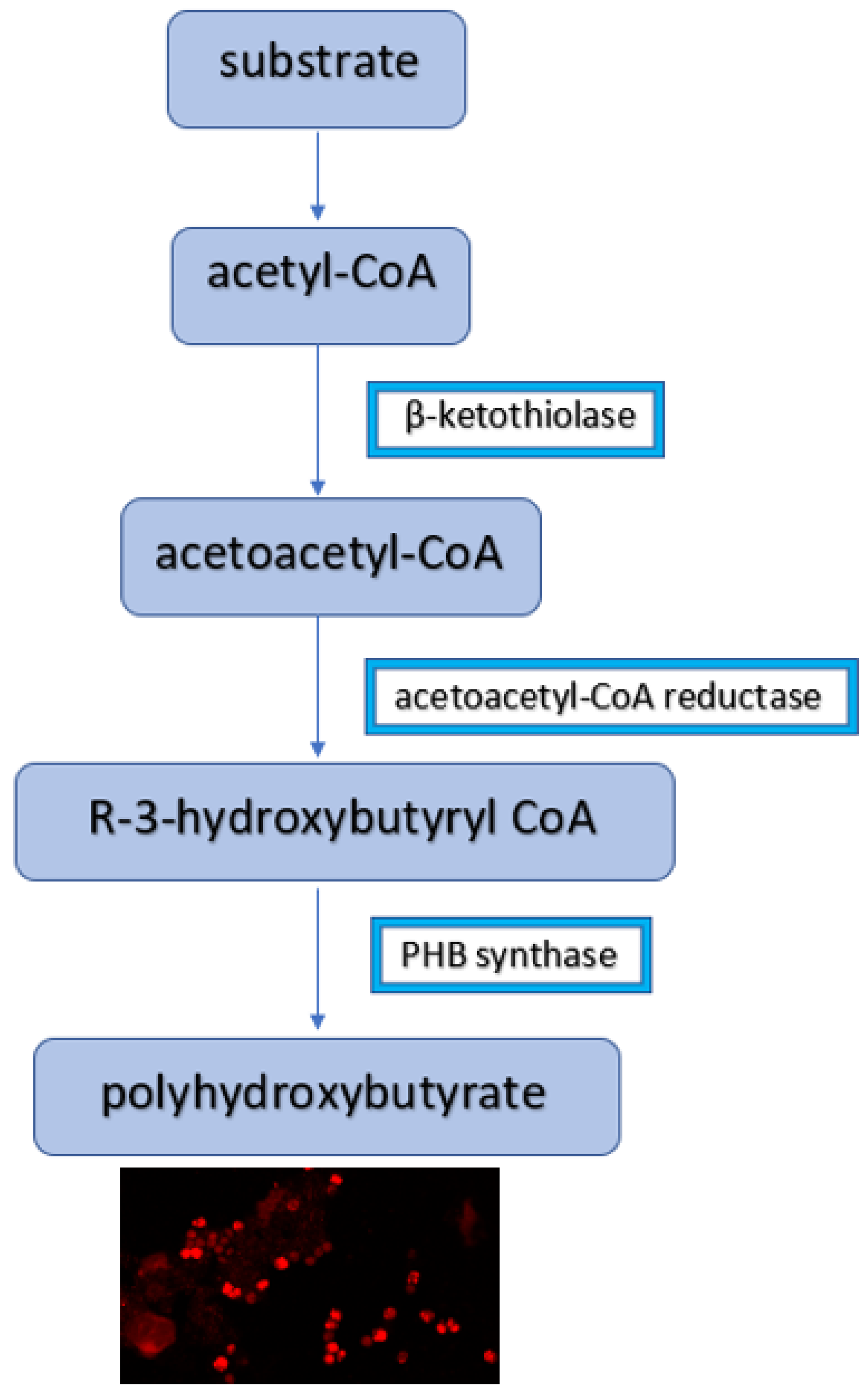 Energies 15 08390 g001