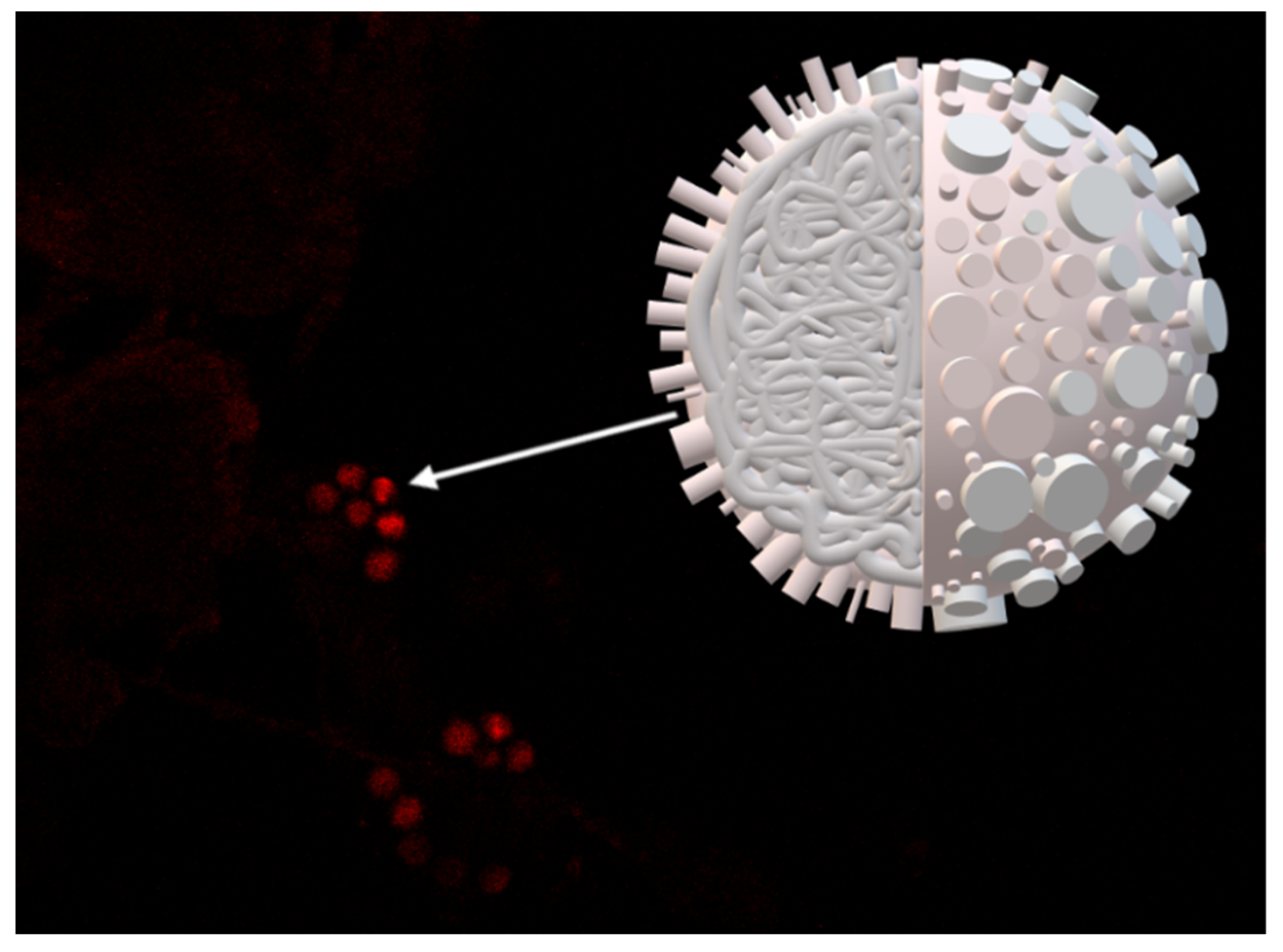 Energies 15 08390 g003 Energies 15 08390 g003