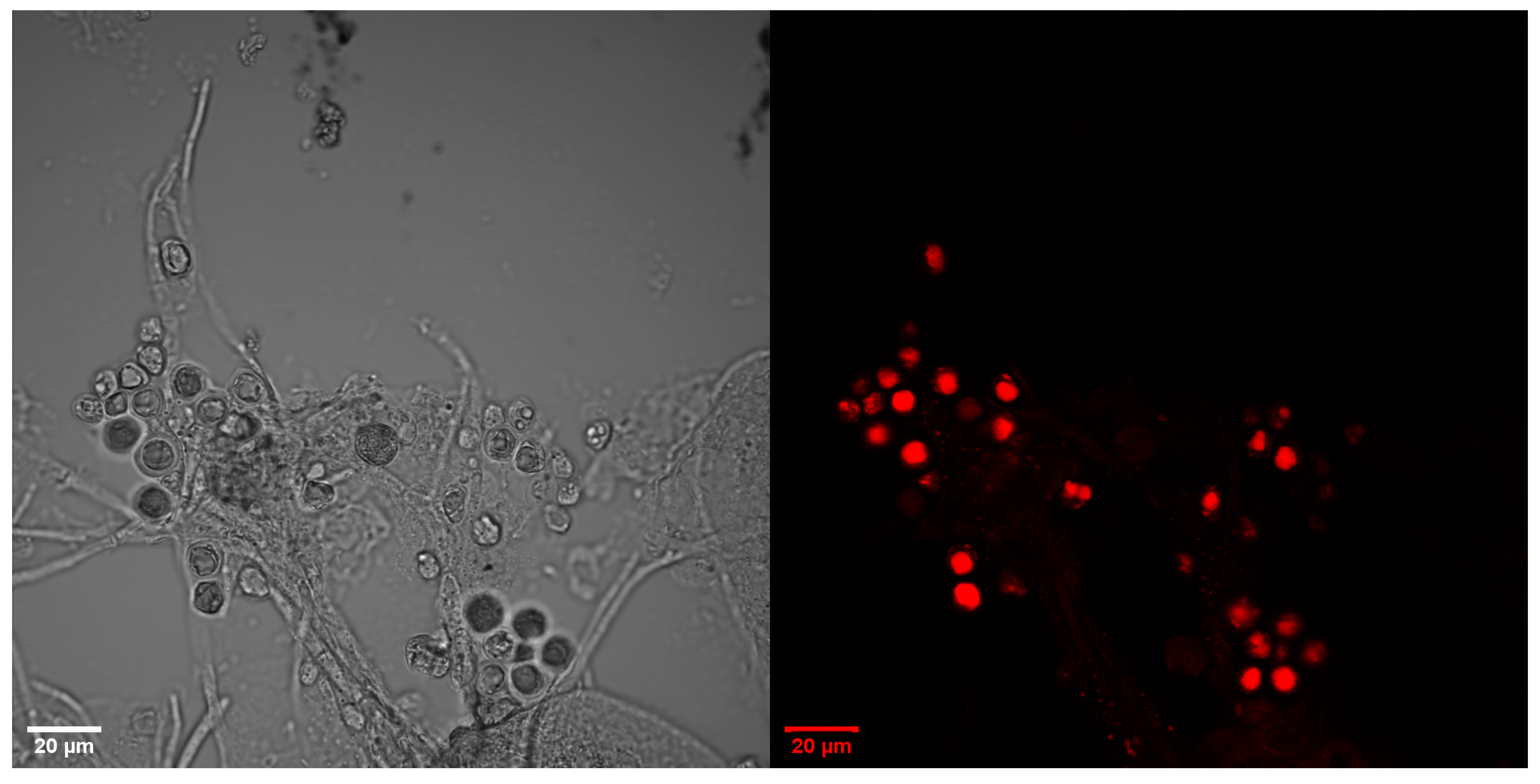 Energies 15 08390 g010 Energies 15 08390 g010