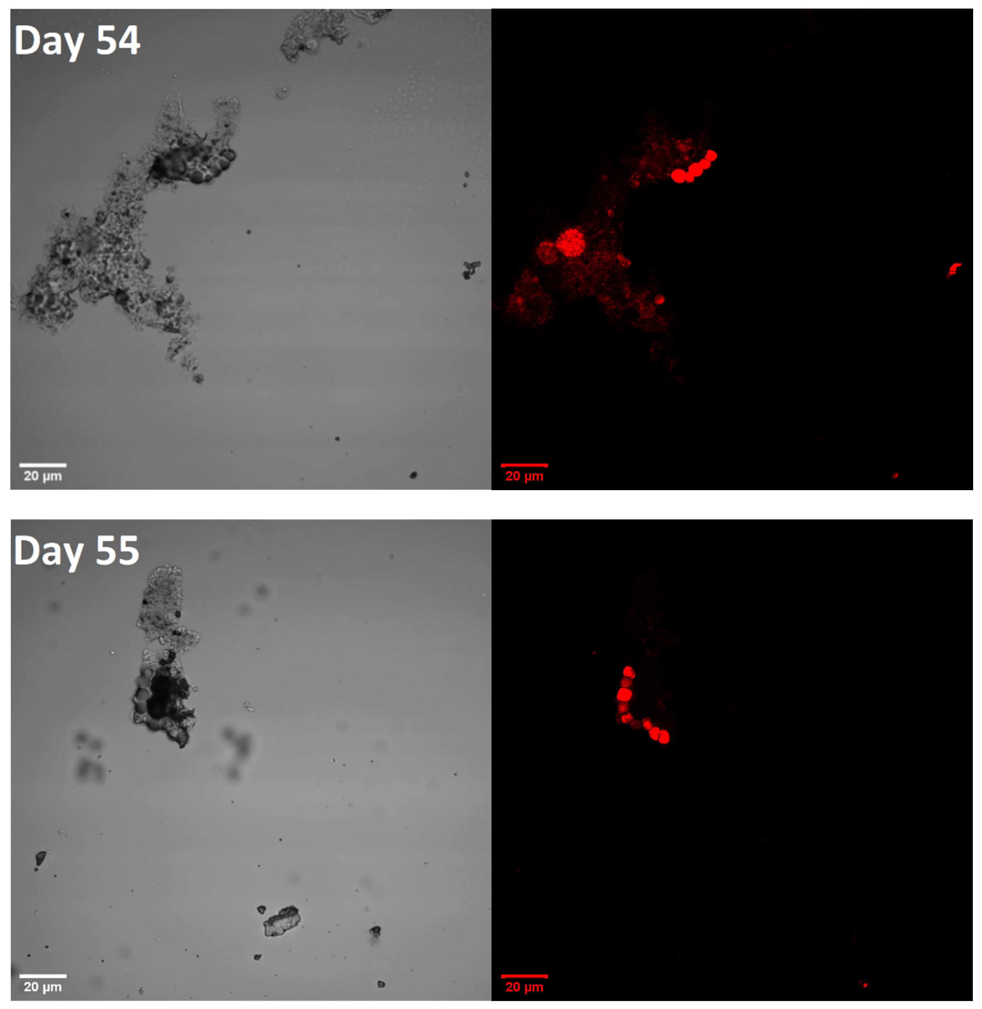 Energies 15 08390 g0a2a Energies 15 08390 g0a2a