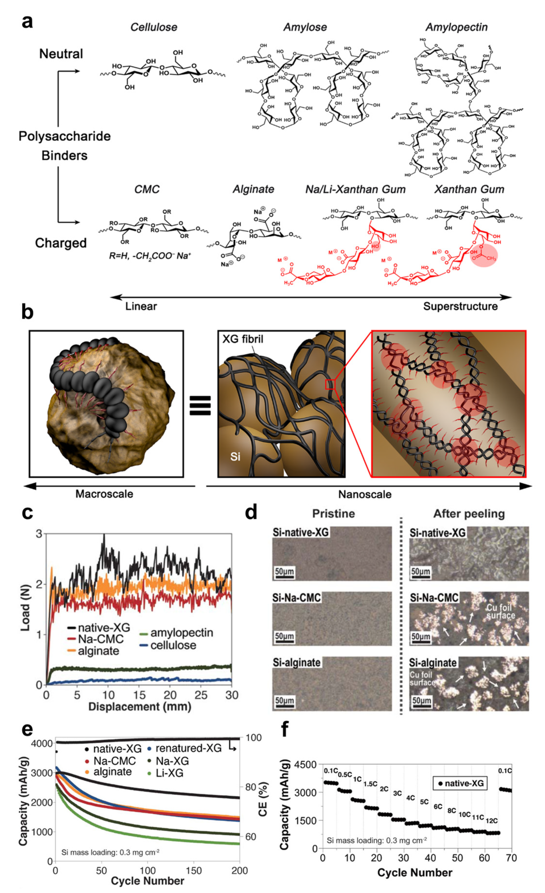 Energies | Free Full-Text | Recent Advances in the Multifunctional 