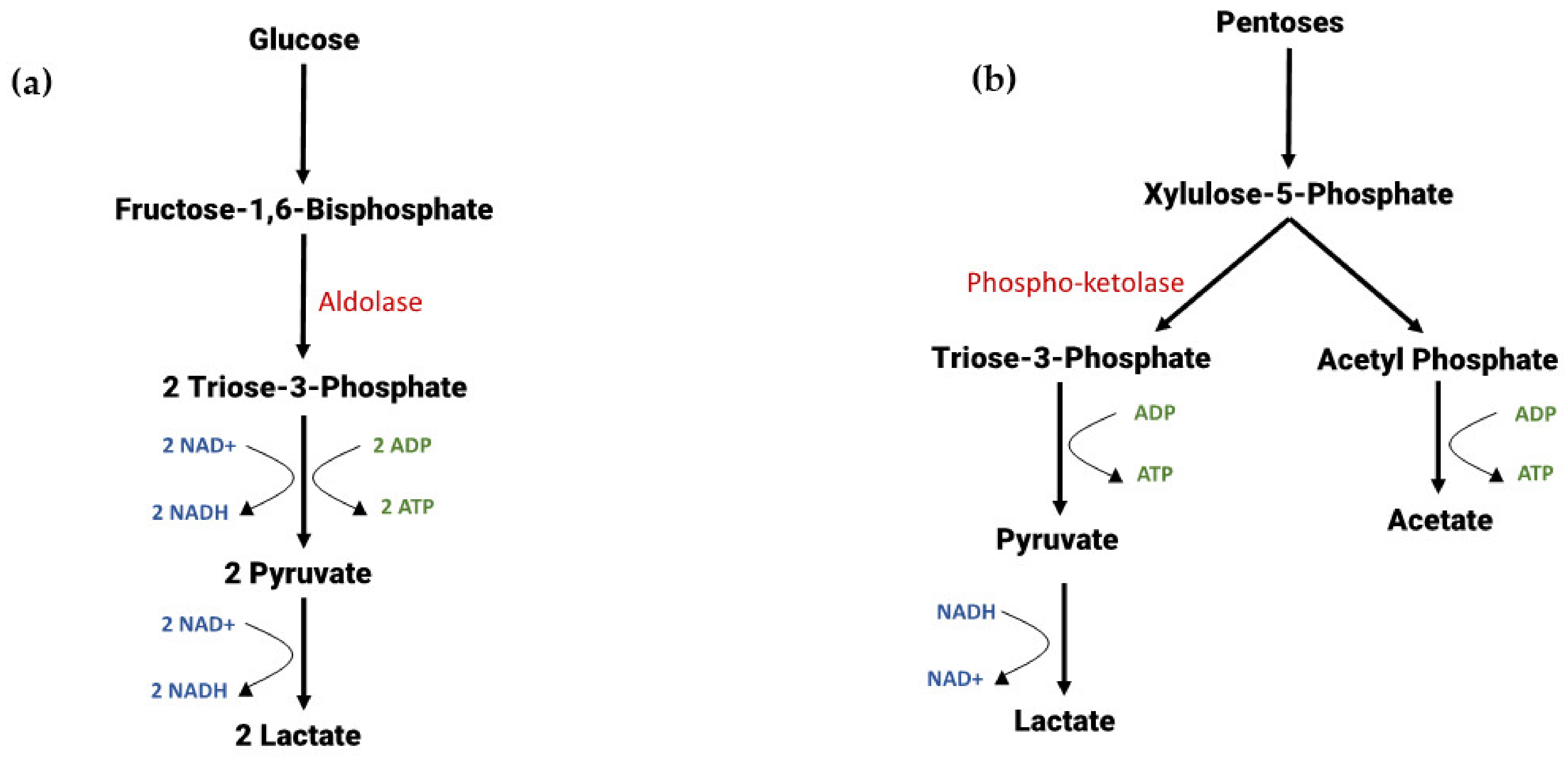 Energies 15 08638 g002a Energies 15 08638 g002a