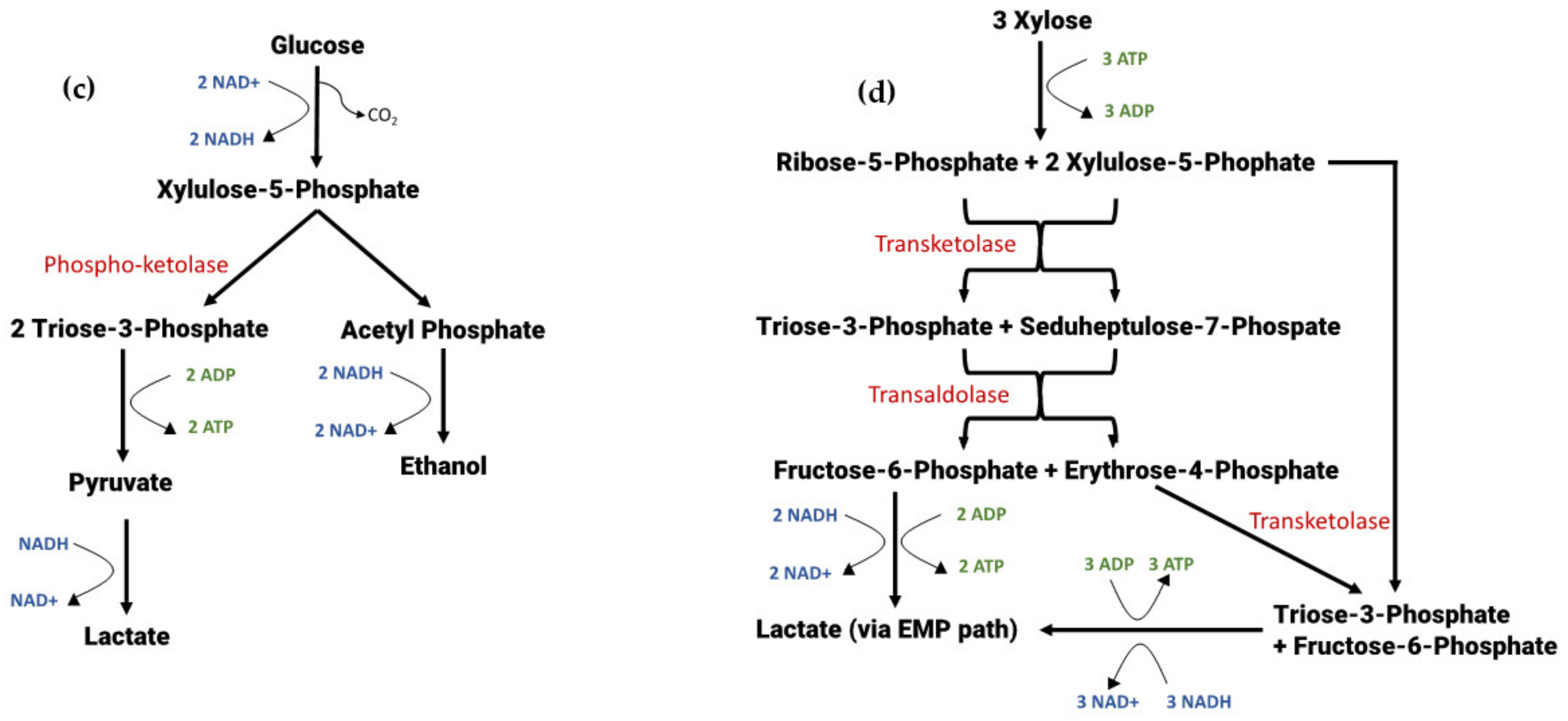 Energies 15 08638 g002b Energies 15 08638 g002b