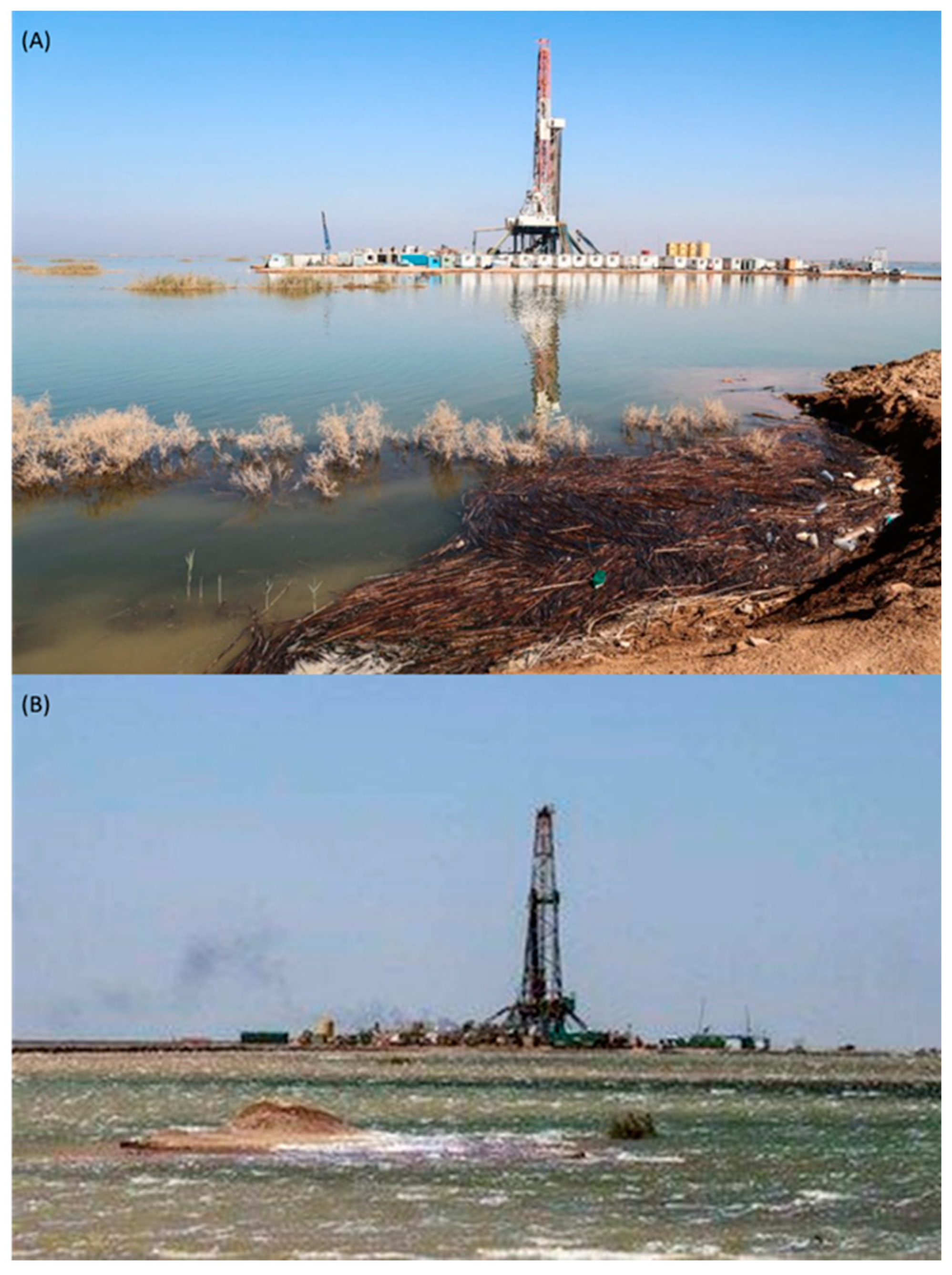 Energies 15 08656 g008 Energies 15 08656 g008