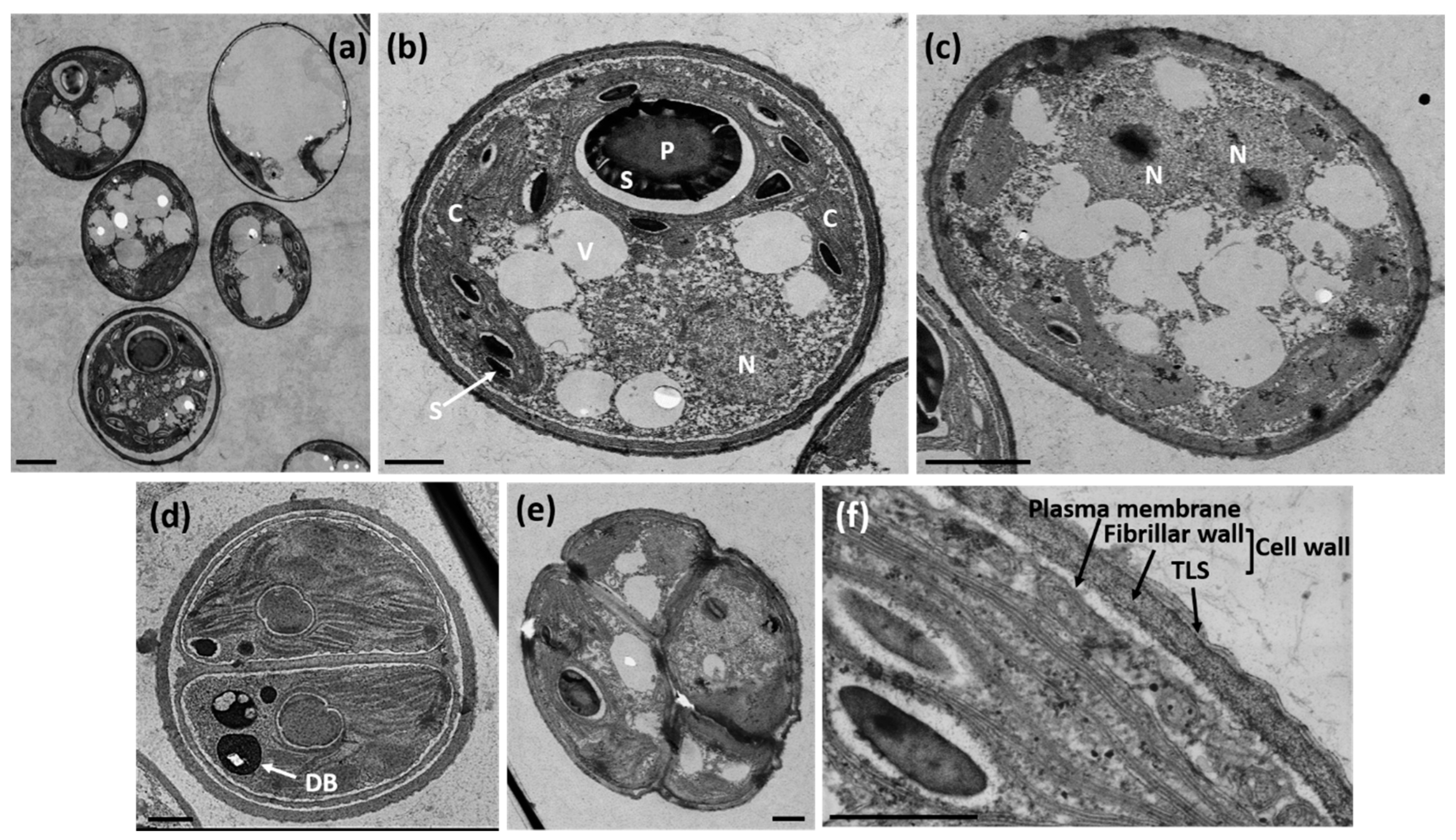 Energies 15 08725 g005 Energies 15 08725 g005