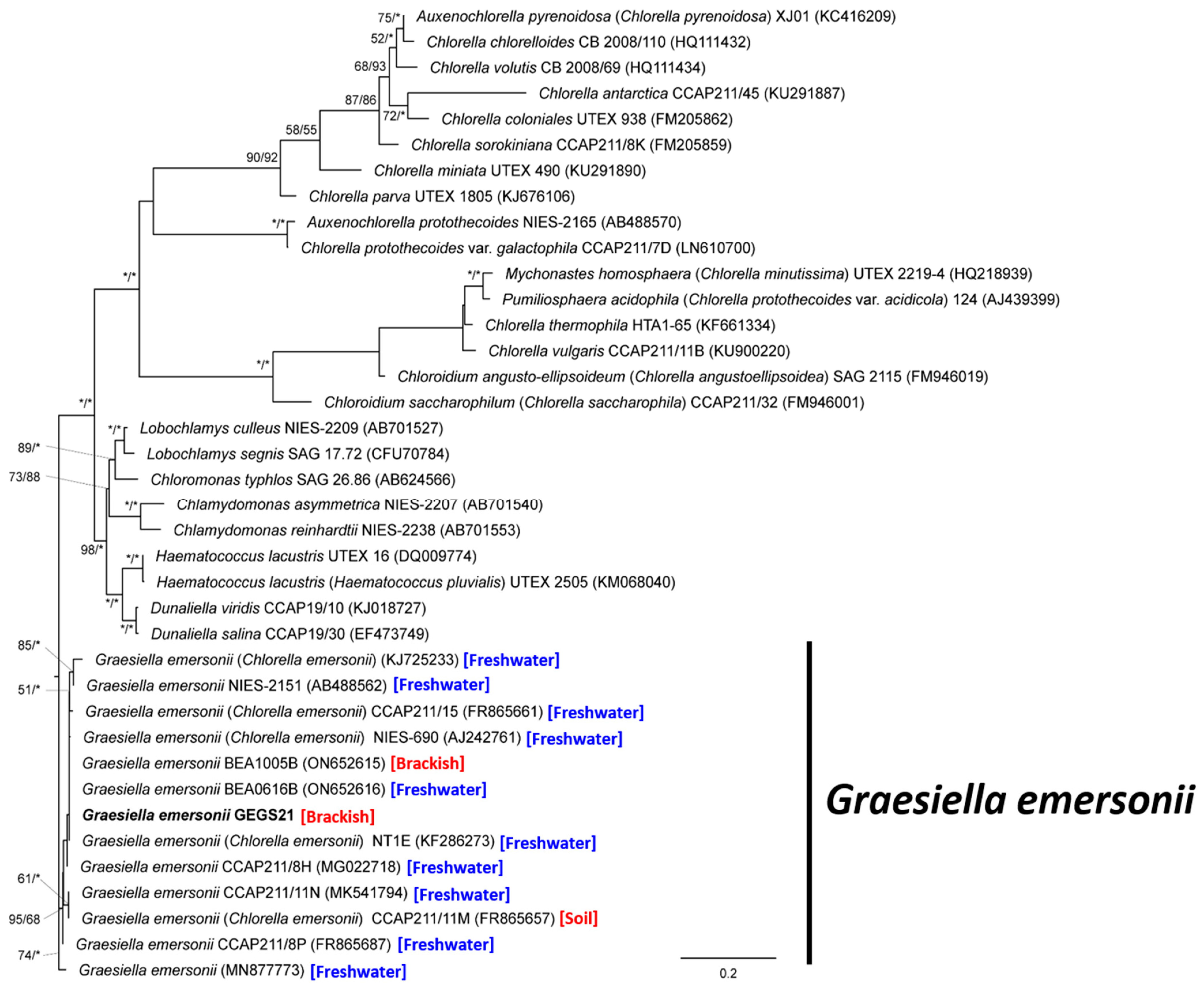 Energies 15 08725 g006 Energies 15 08725 g006