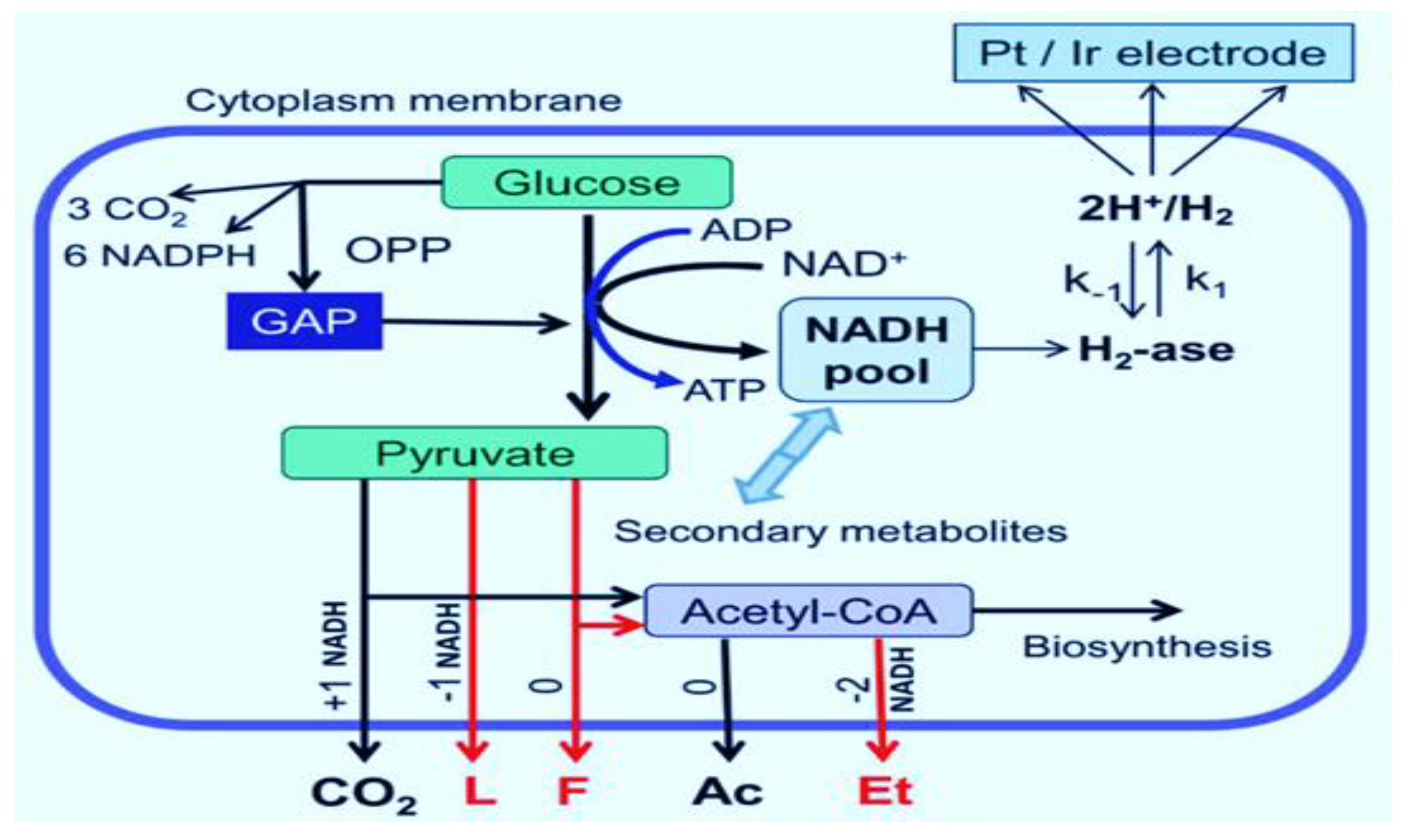 Energies 15 08987 g002 Energies 15 08987 g002