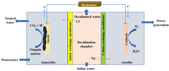 Dairy Wastewater as a Potential Feedstock for Valuable