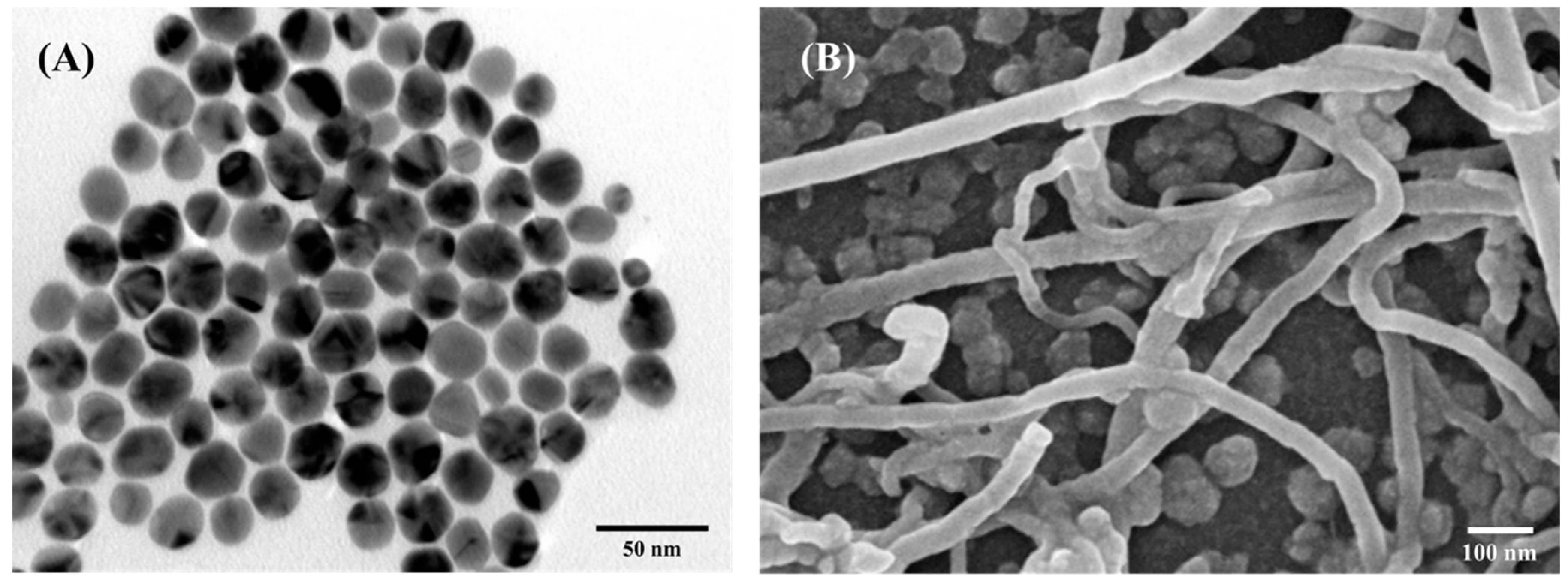 Energies 15 09153 g001