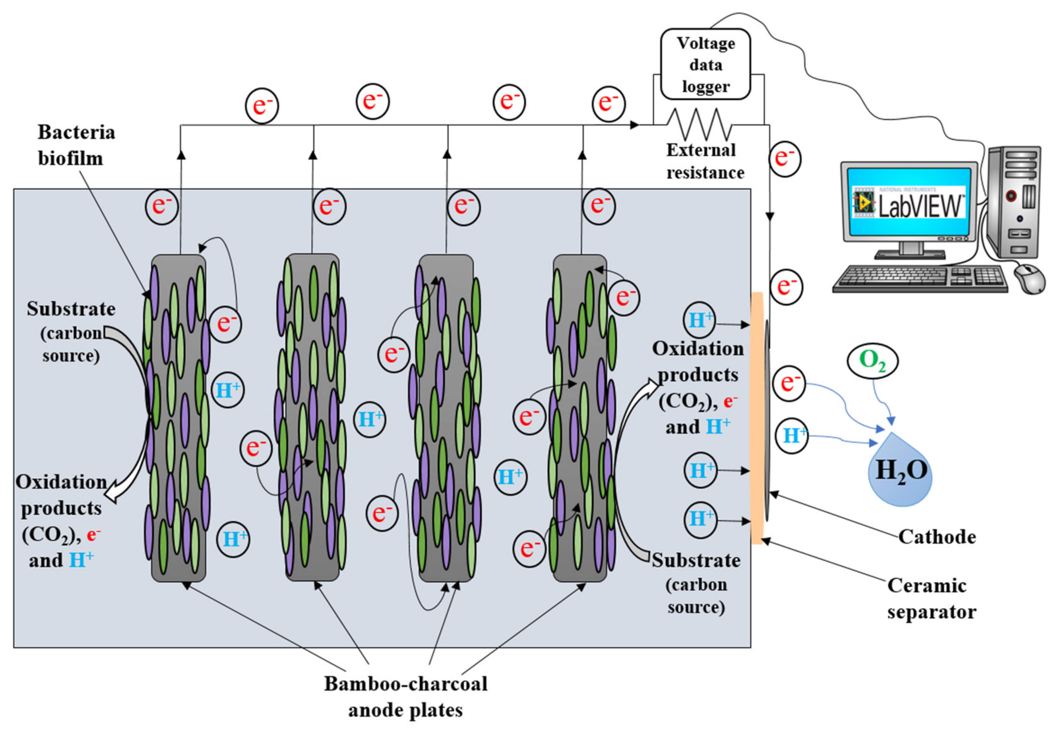 Energies 15 09211 g002 Energies 15 09211 g002