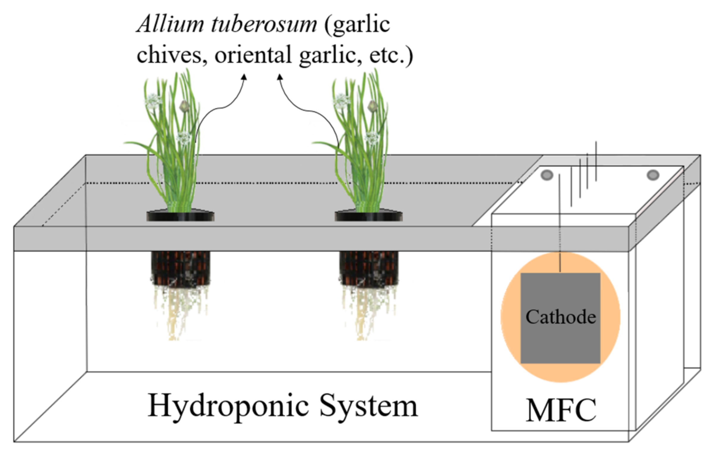 Energies 15 09211 g003 Energies 15 09211 g003