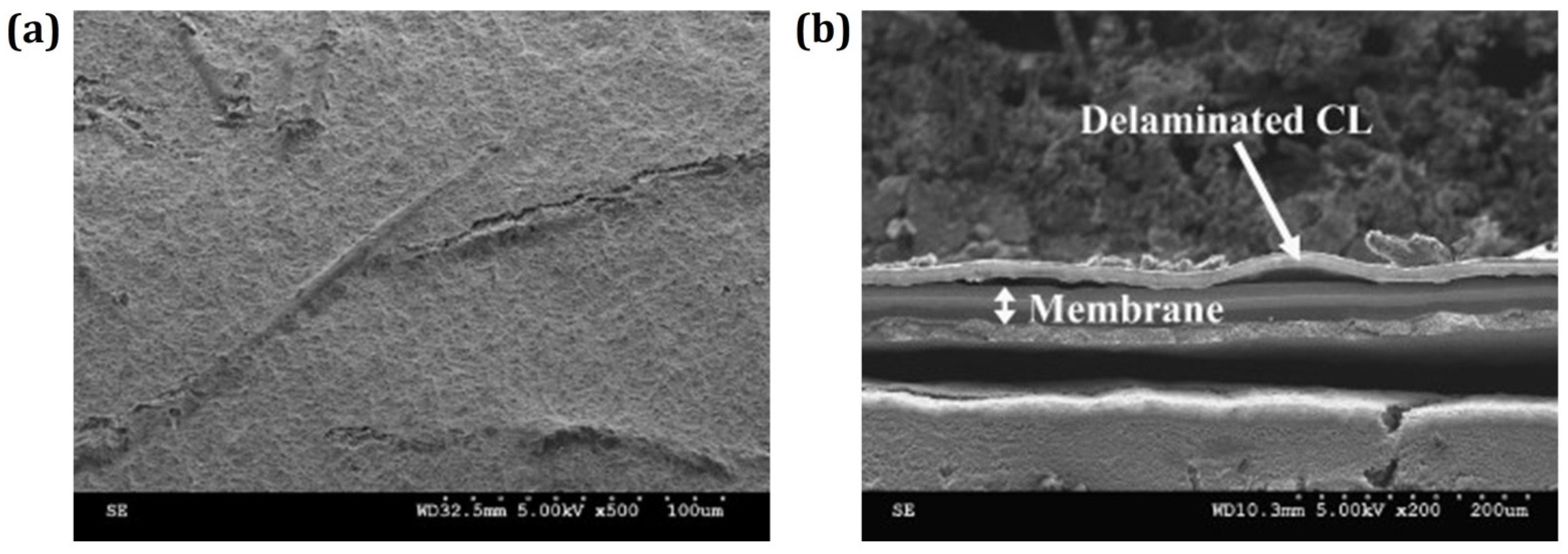 Energies 15 09247 g008